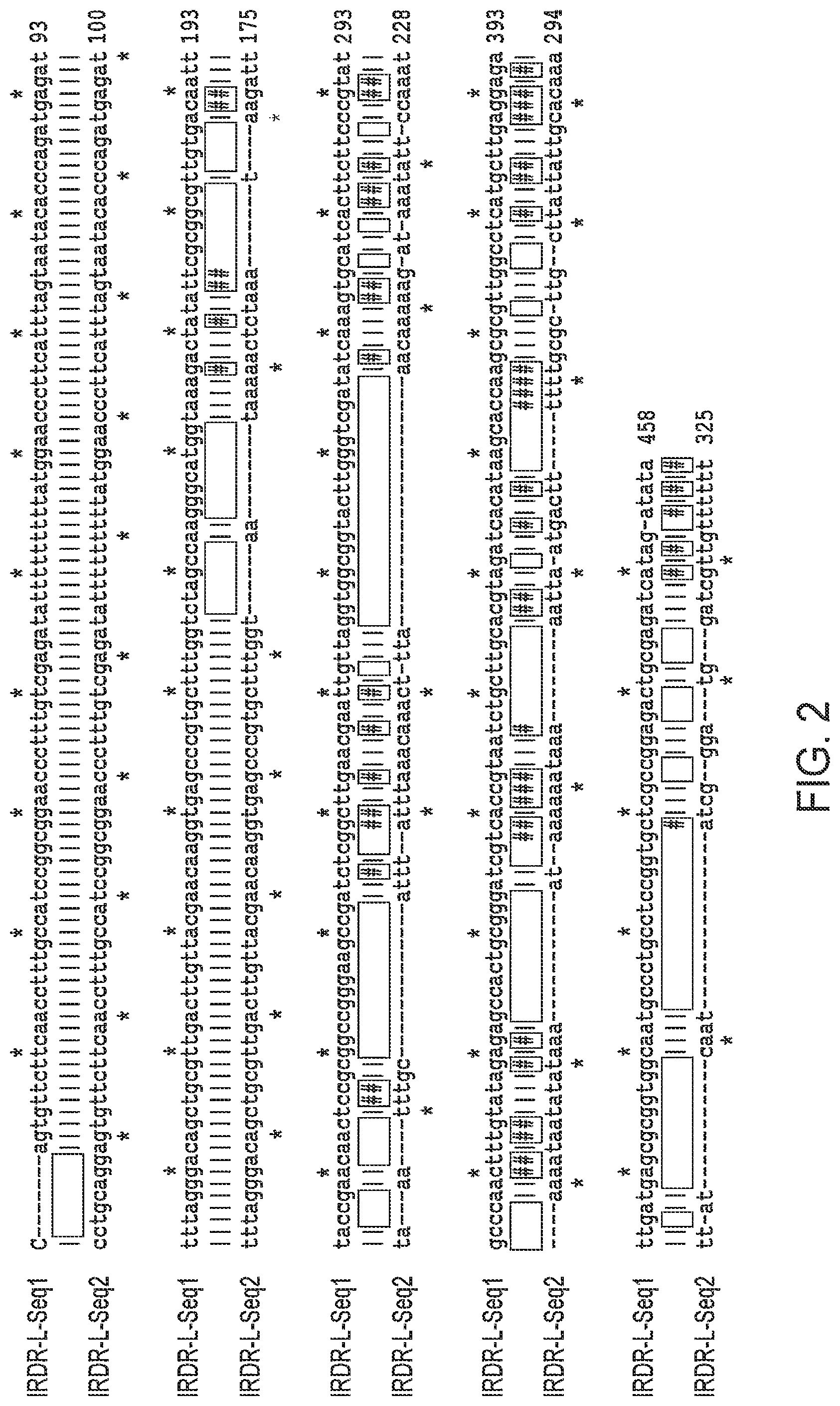 Patent US12097220 Figure 3 – Enhanced hAT family transposon-mediated gene transfer and associated compositions, systems, and methods