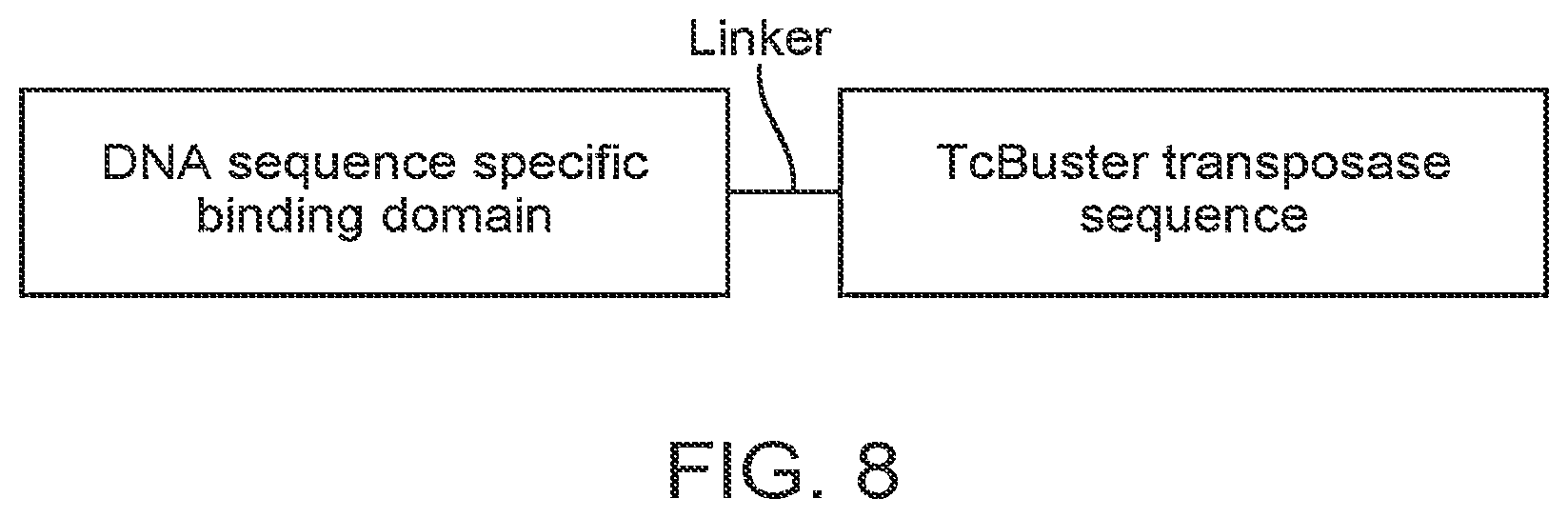 Patent US12097220 Figure 10 – Enhanced hAT family transposon-mediated gene transfer and associated compositions, systems, and methods