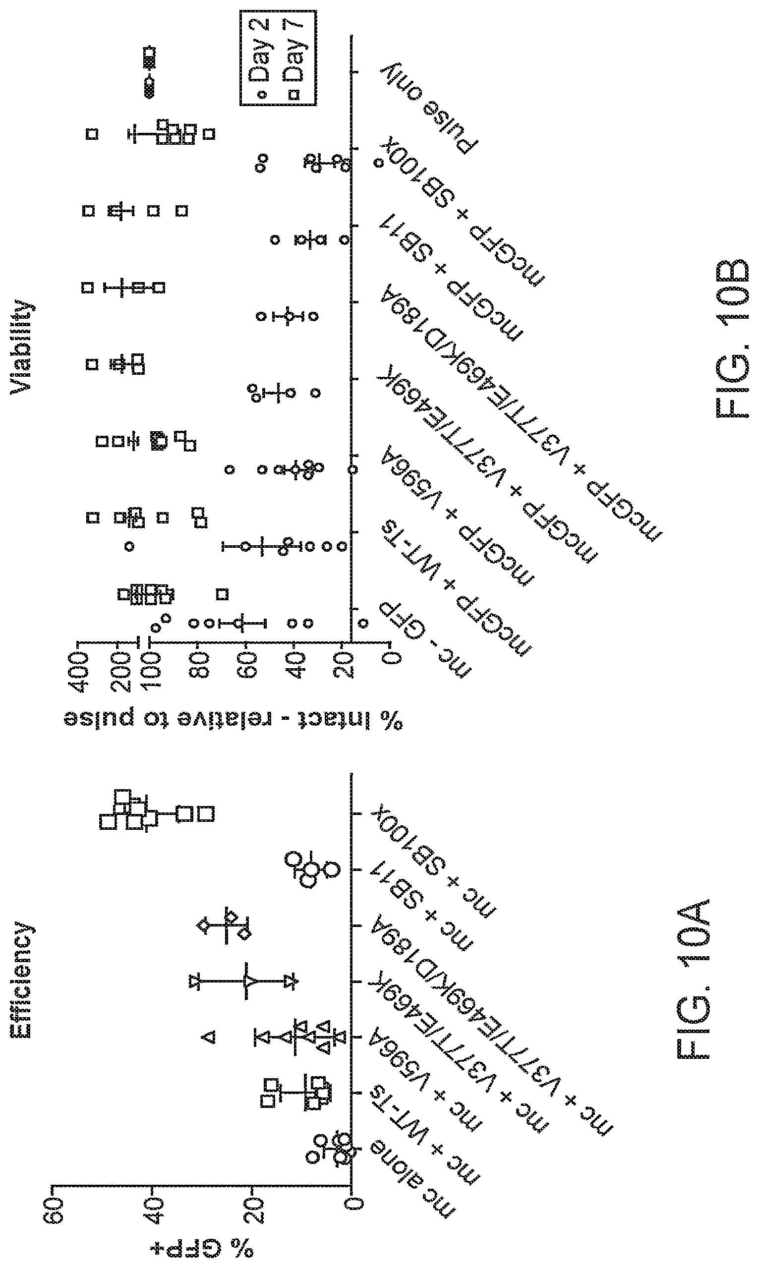 Patent US12097220 Figure 12 – Enhanced hAT family transposon-mediated gene transfer and associated compositions, systems, and methods