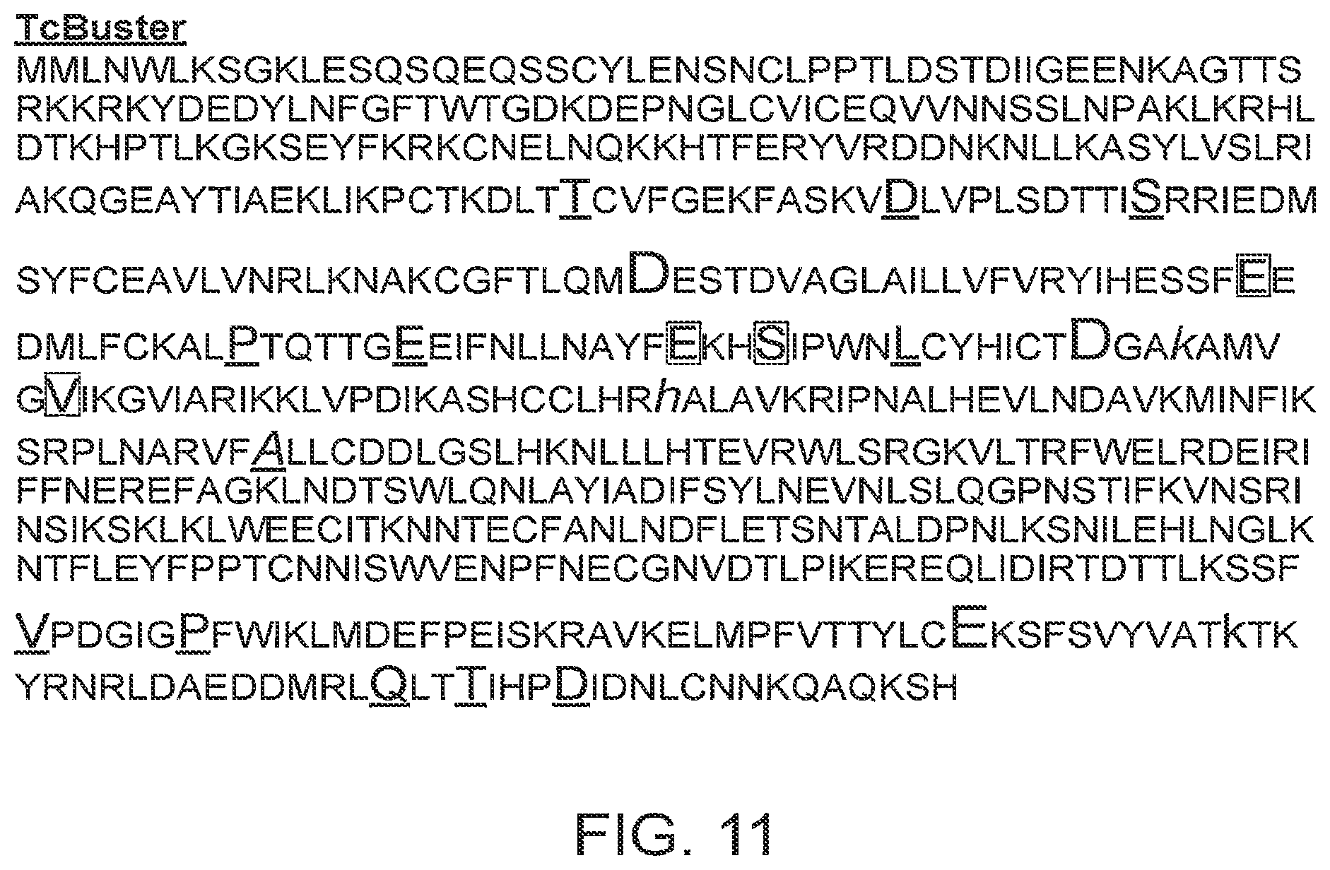 Patent US12097220 Figure 13 – Enhanced hAT family transposon-mediated gene transfer and associated compositions, systems, and methods