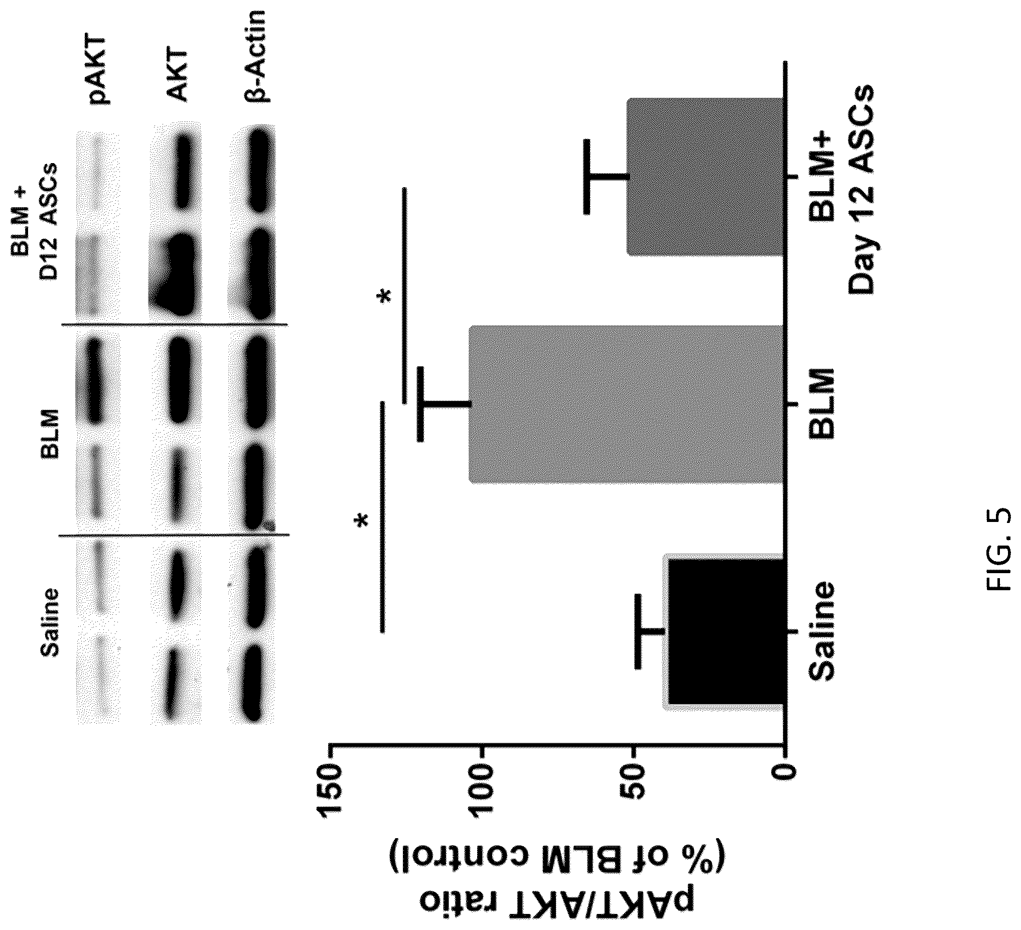 Patent US12097222 Figure 10 – Methods for attenuating viral infection and for treating lung injury