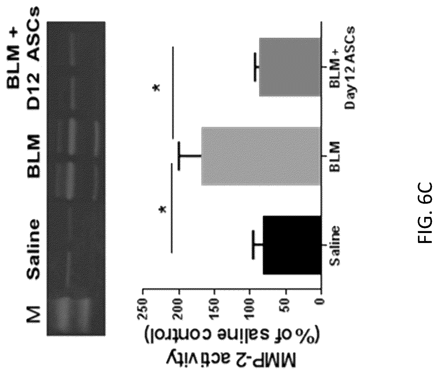 Patent US12097222 Figure 13 – Methods for attenuating viral infection and for treating lung injury