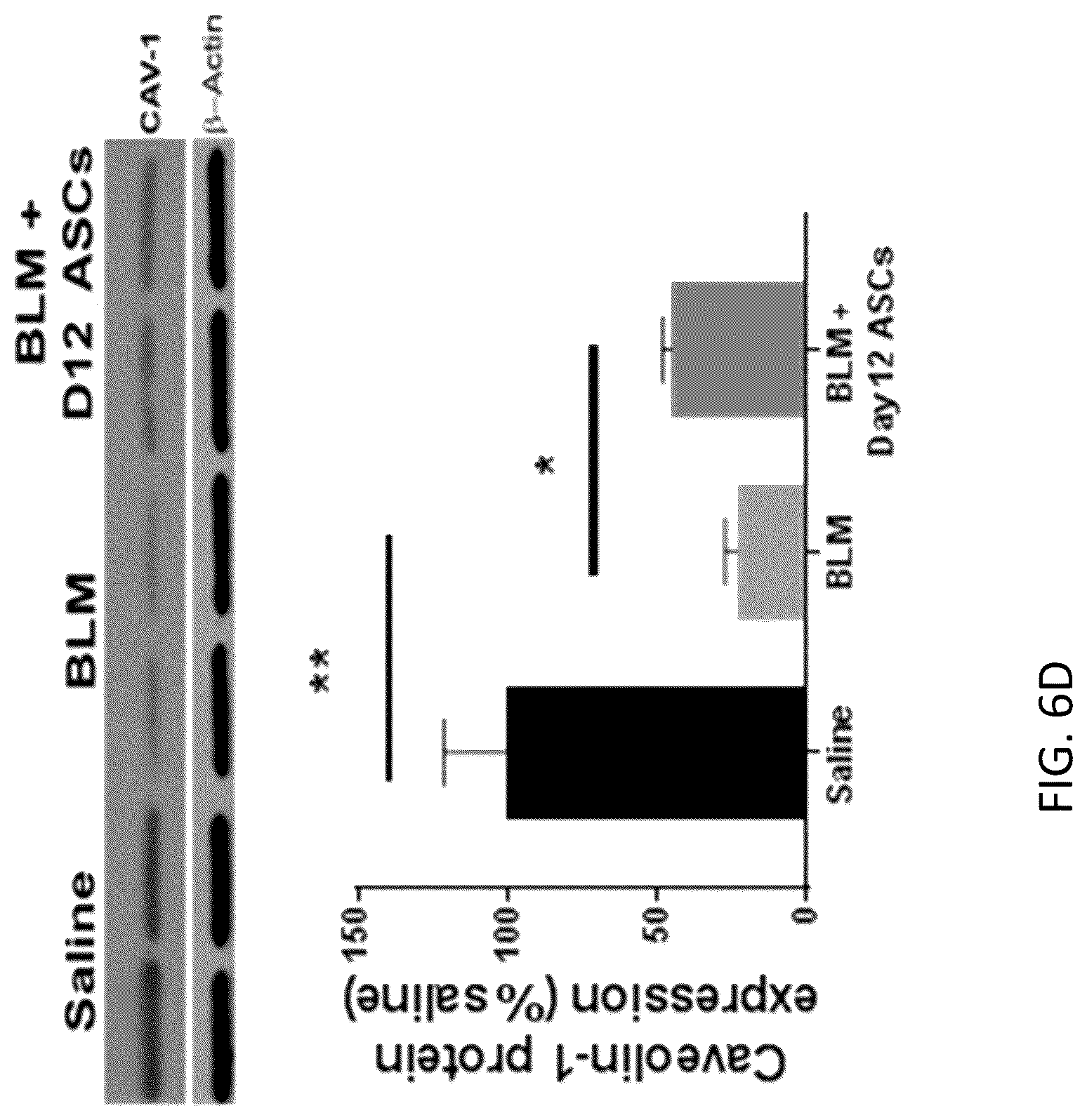Patent US12097222 Figure 14 – Methods for attenuating viral infection and for treating lung injury