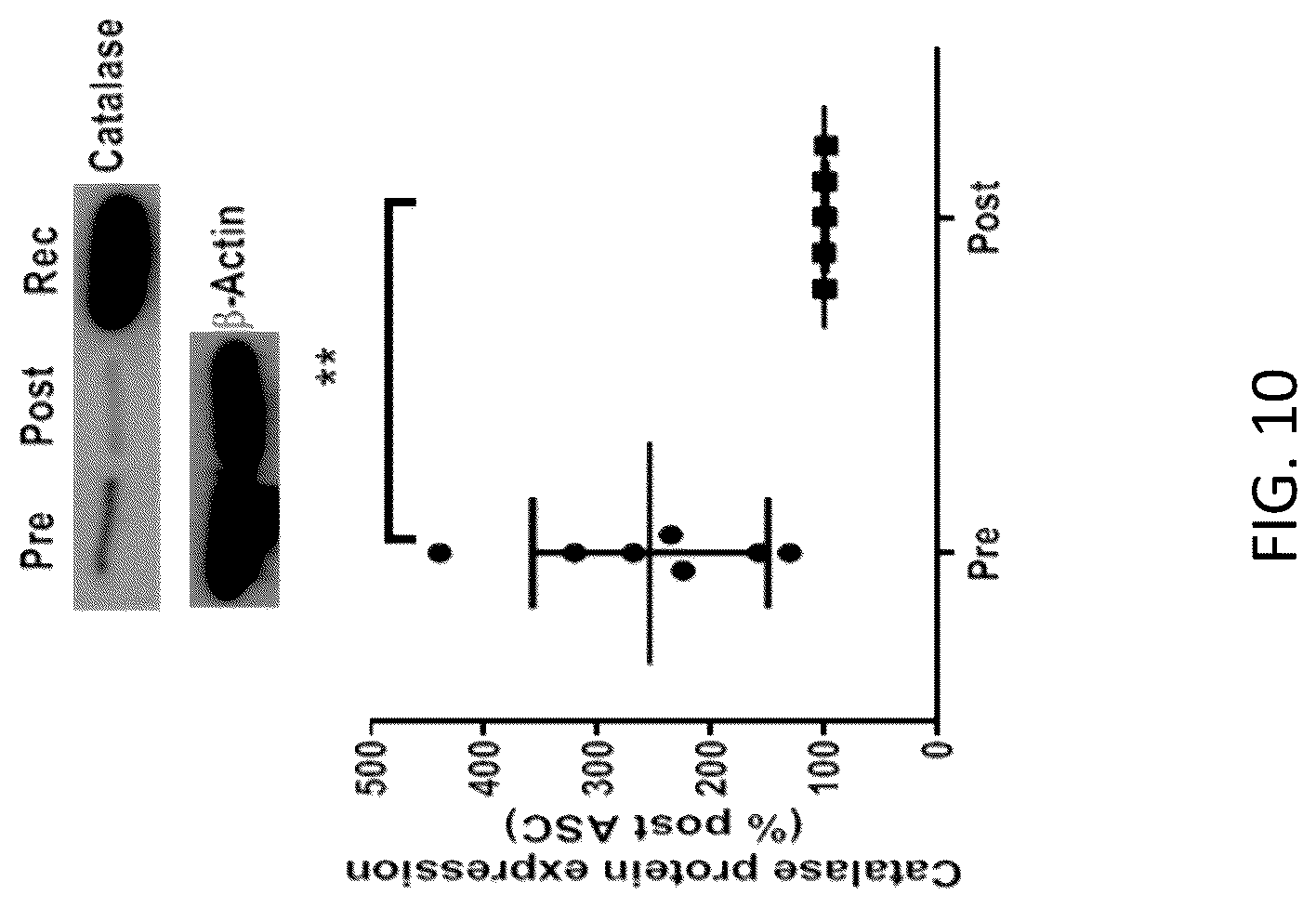 Patent US12097222 Figure 18 – Methods for attenuating viral infection and for treating lung injury