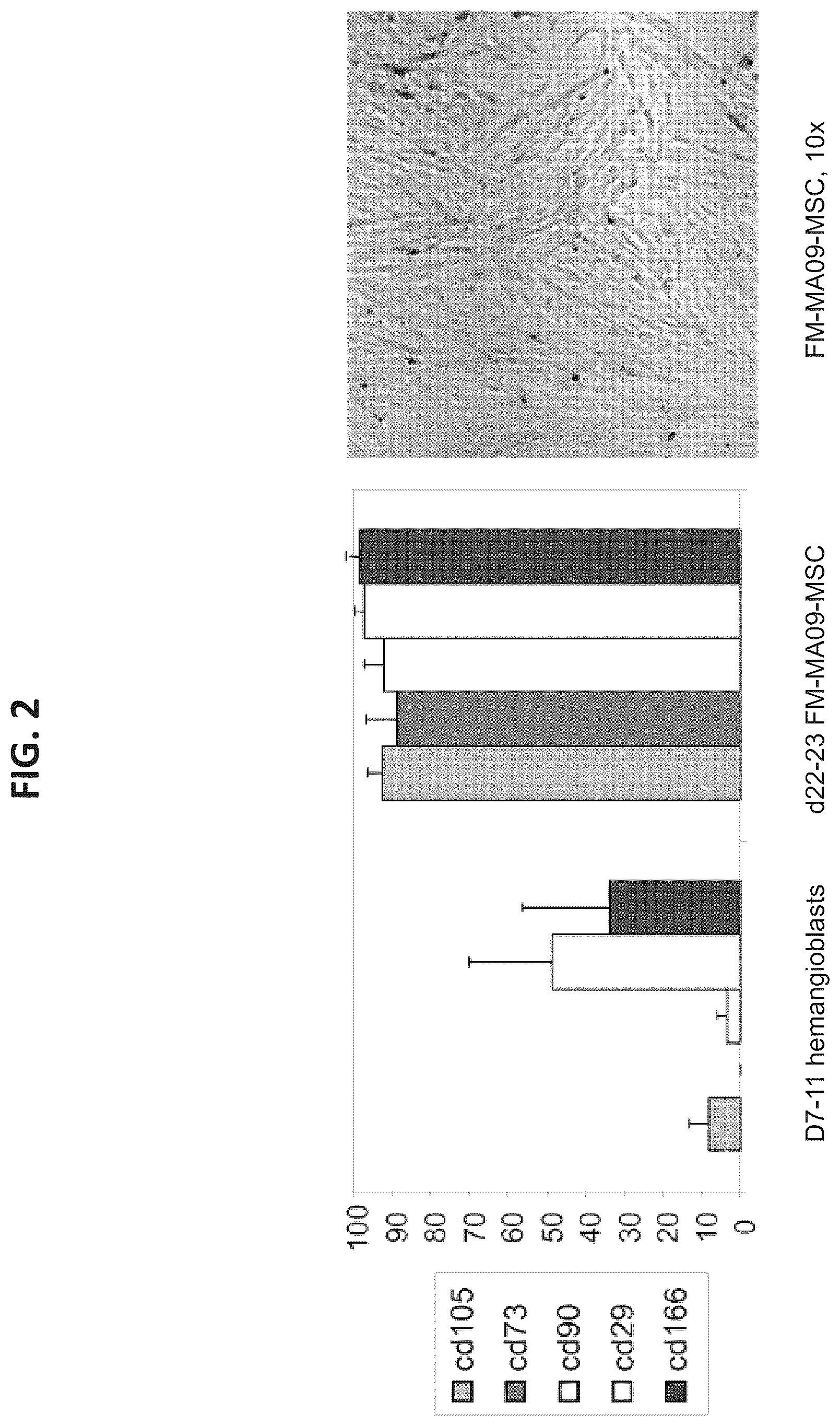 Patent US12097223 Figure 2 – Mesenchymal stromal cells and uses related thereto