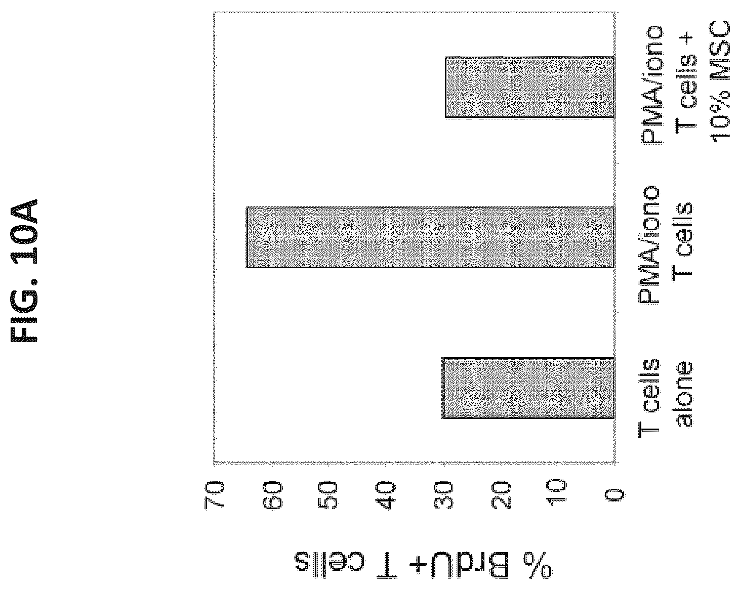 Patent US12097223 Figure 10 – Mesenchymal stromal cells and uses related thereto