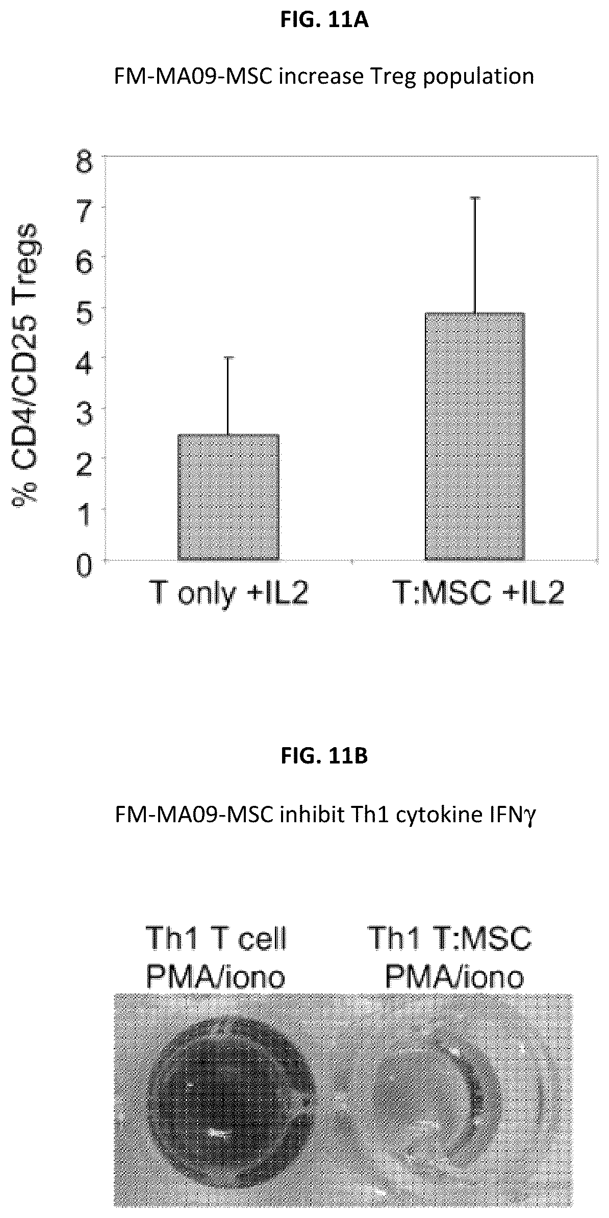 Patent US12097223 Figure 12 – Mesenchymal stromal cells and uses related thereto