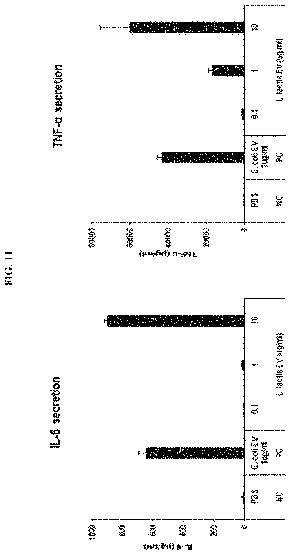 Patent US12097227 Figure 12 – Nanovesicles derived from bacteria of Lactococcus genus and use thereof