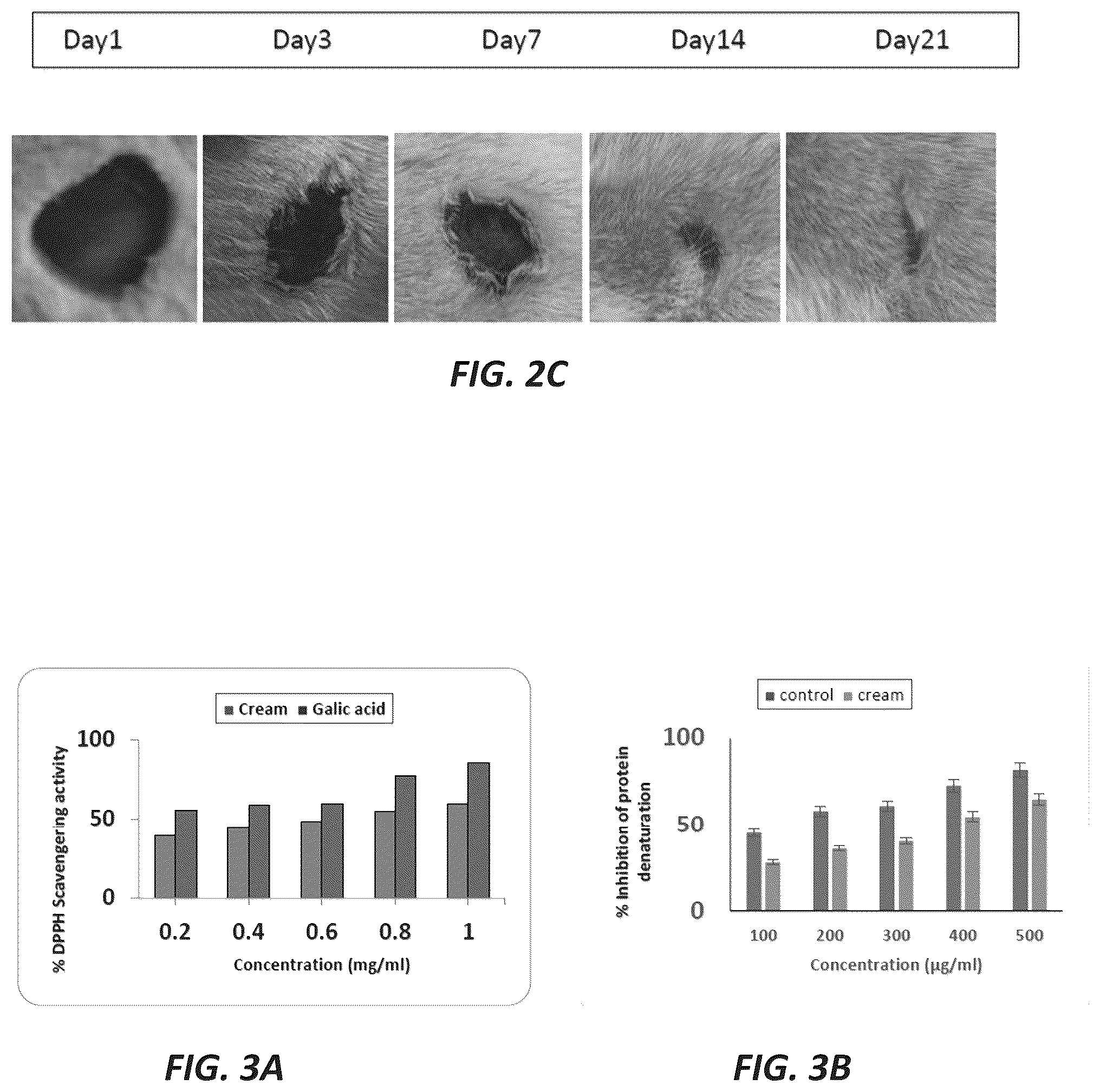 Patent US12097228 Figure 3 – Mixture of cyanobacteria, chitosan, and plant extracts for wound healing and eliminating pathogen bacteria