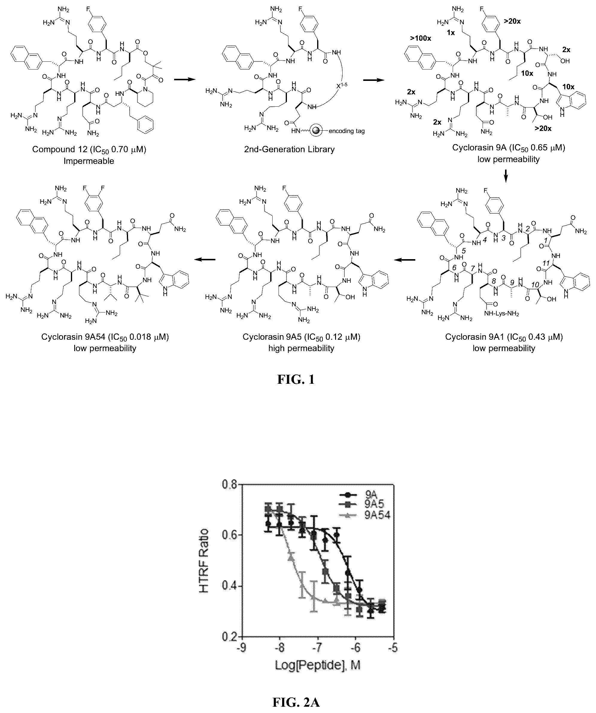 Patent US12097237 Figure 1 – Small molecule Ras inhibitors