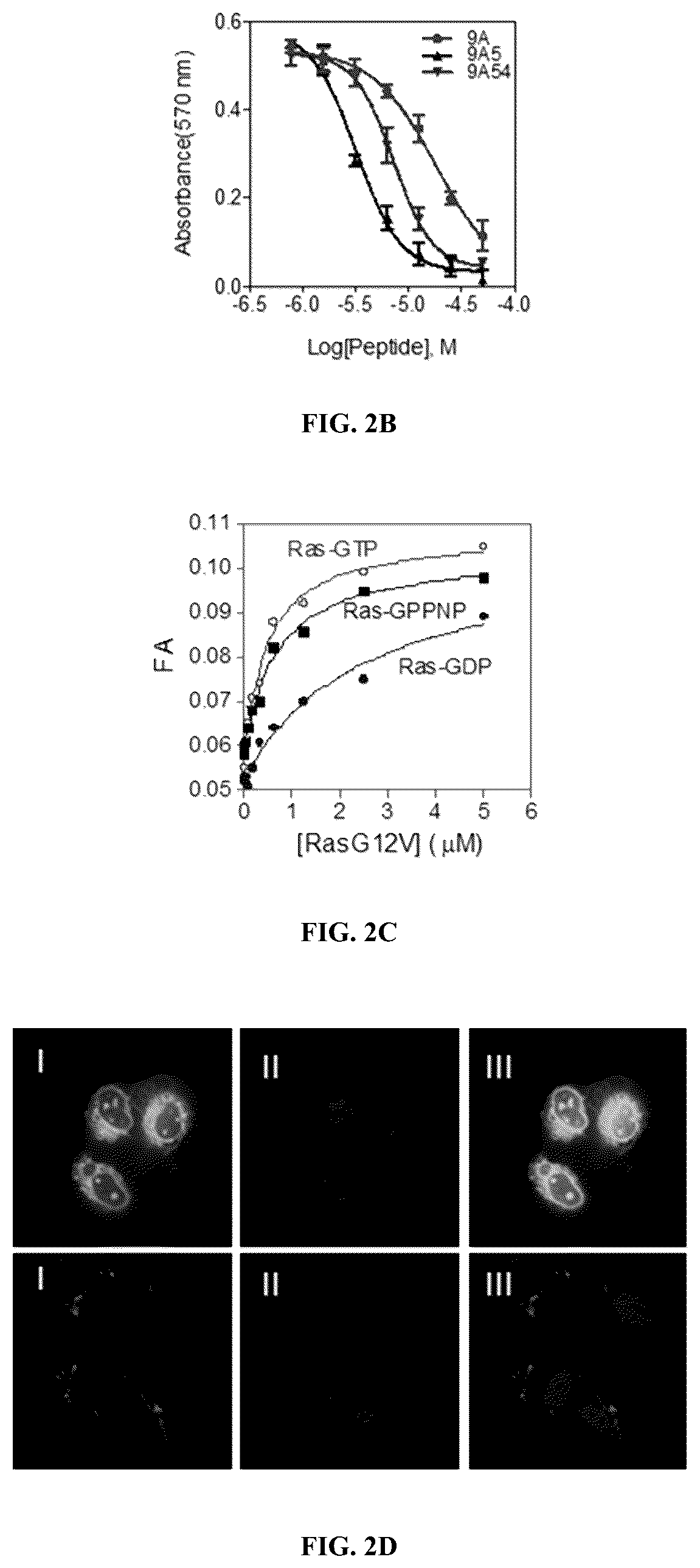 Patent US12097237 Figure 2 – Small molecule Ras inhibitors