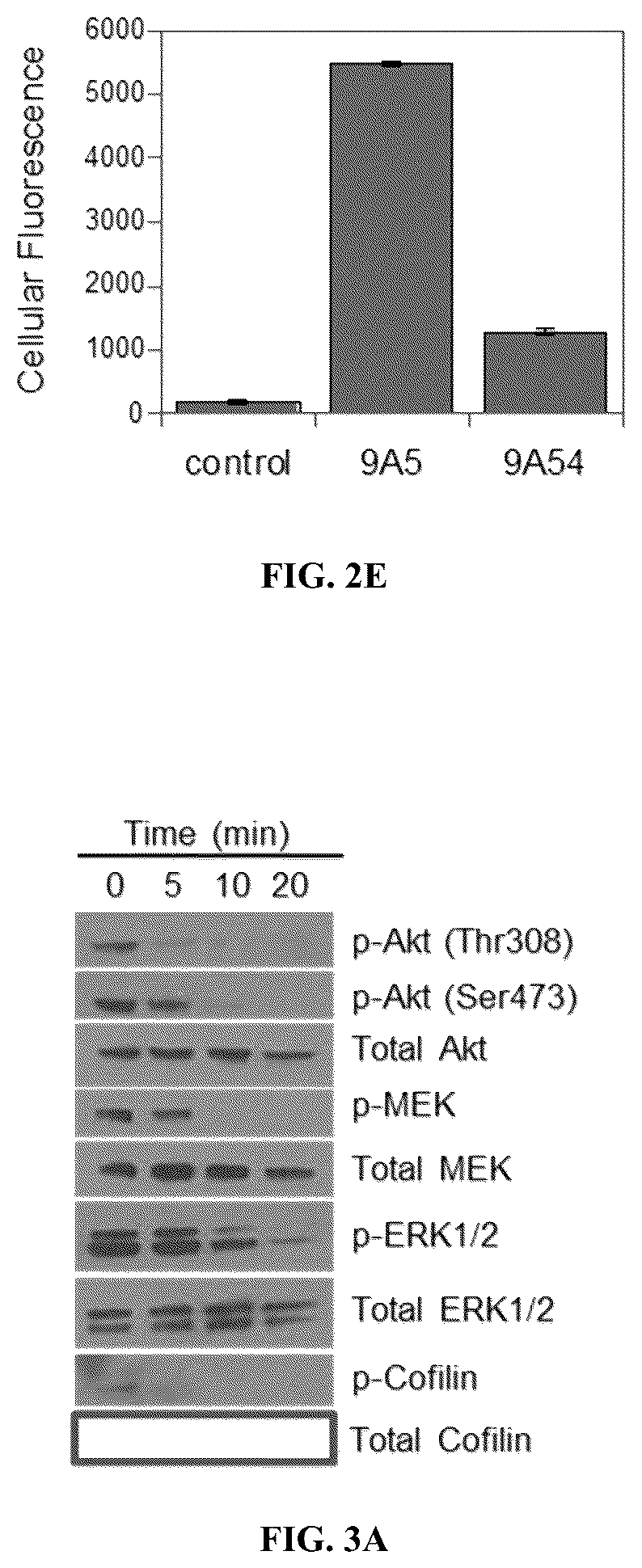 Patent US12097237 Figure 3 – Small molecule Ras inhibitors