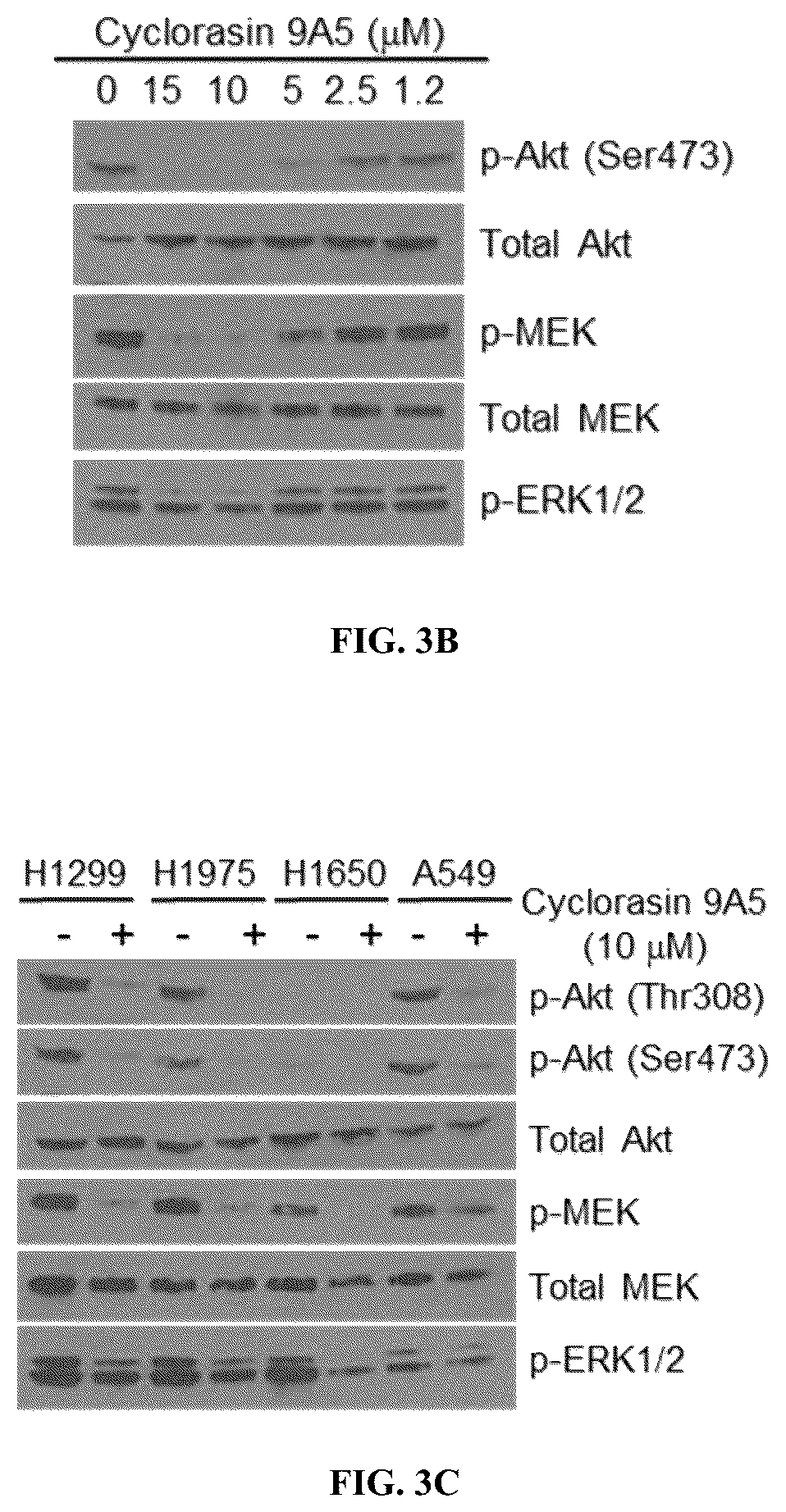 Patent US12097237 Figure 4 – Small molecule Ras inhibitors