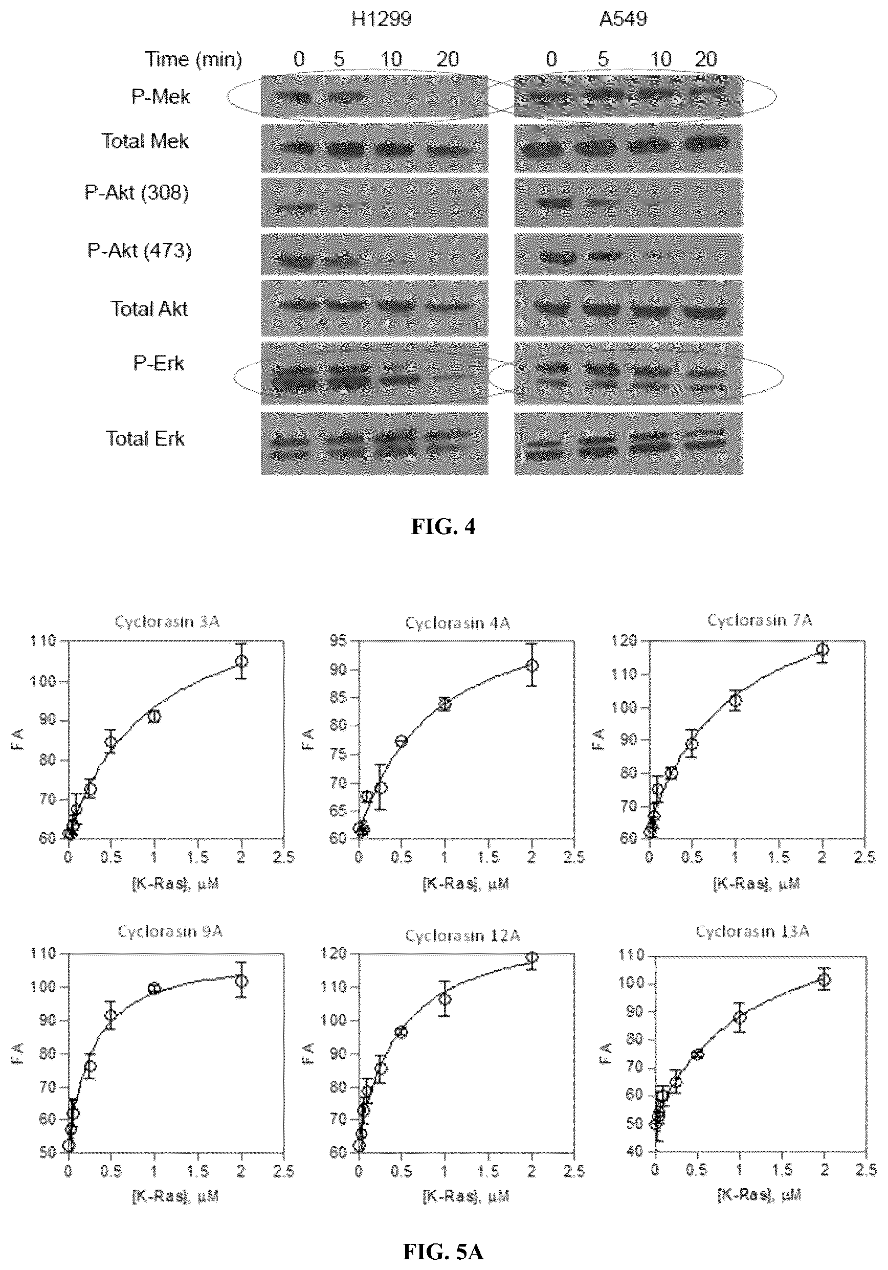 Patent US12097237 Figure 6 – Small molecule Ras inhibitors