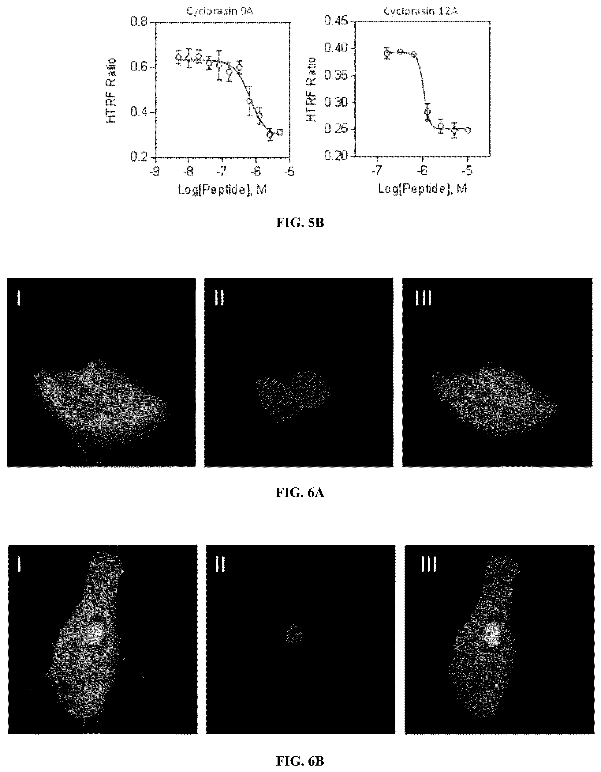 Patent US12097237 Figure 7 – Small molecule Ras inhibitors