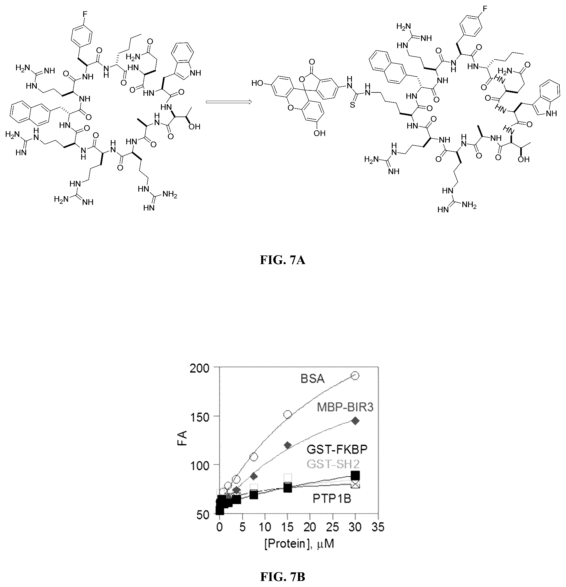 Patent US12097237 Figure 8 – Small molecule Ras inhibitors