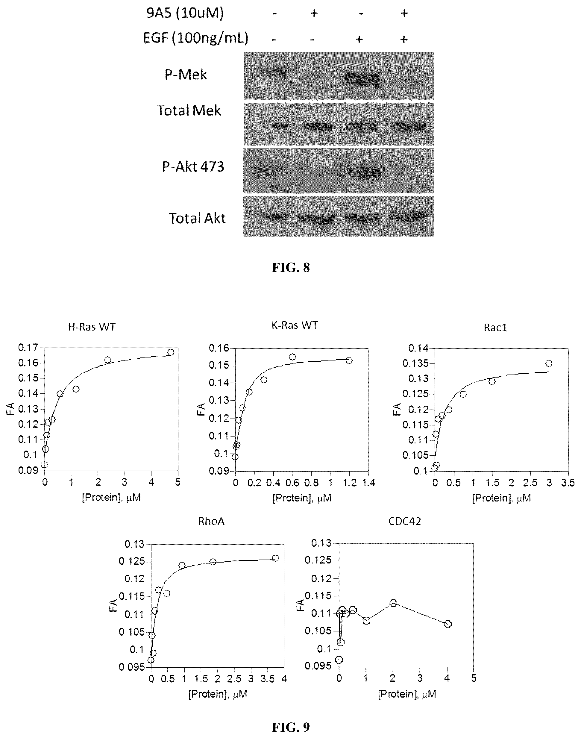 Patent US12097237 Figure 9 – Small molecule Ras inhibitors