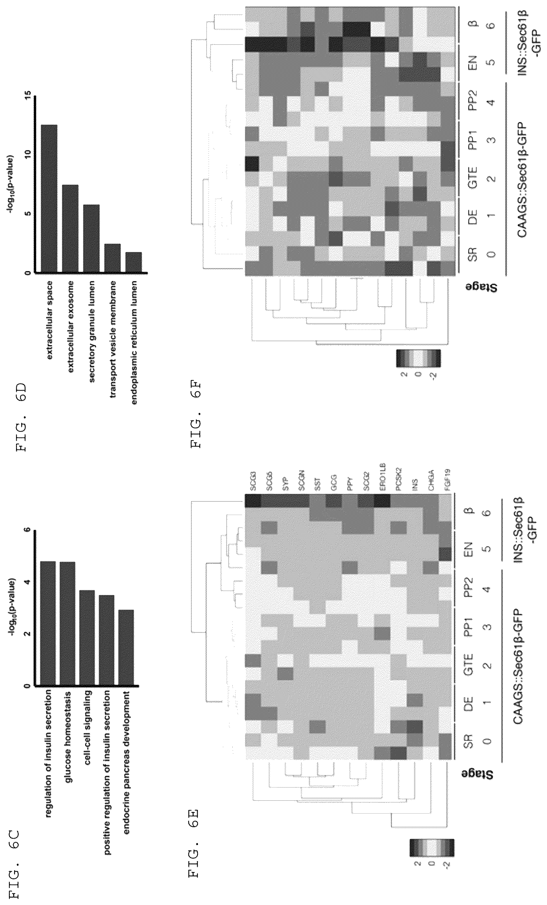 Patent US12097239 Figure 10 – Methods and compositions for treating diabetes, and methods for enriching MRNA coding for secreted proteins