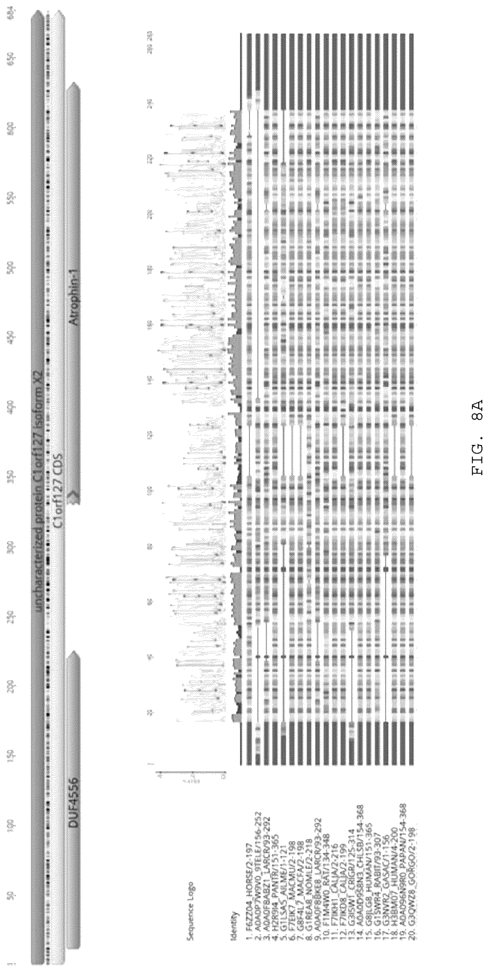 Patent US12097239 Figure 15 – Methods and compositions for treating diabetes, and methods for enriching MRNA coding for secreted proteins