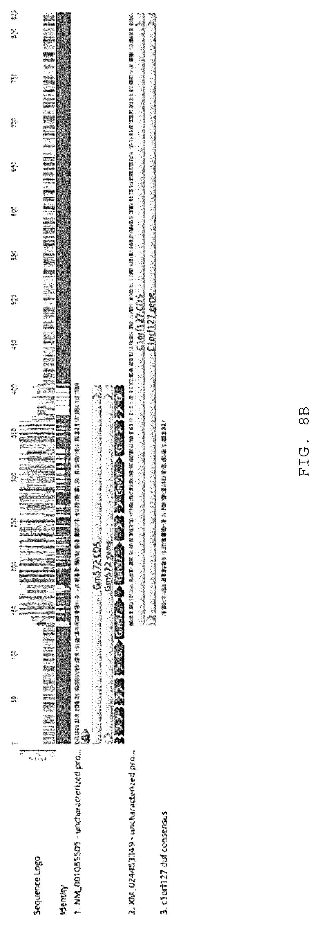 Patent US12097239 Figure 17 – Methods and compositions for treating diabetes, and methods for enriching MRNA coding for secreted proteins