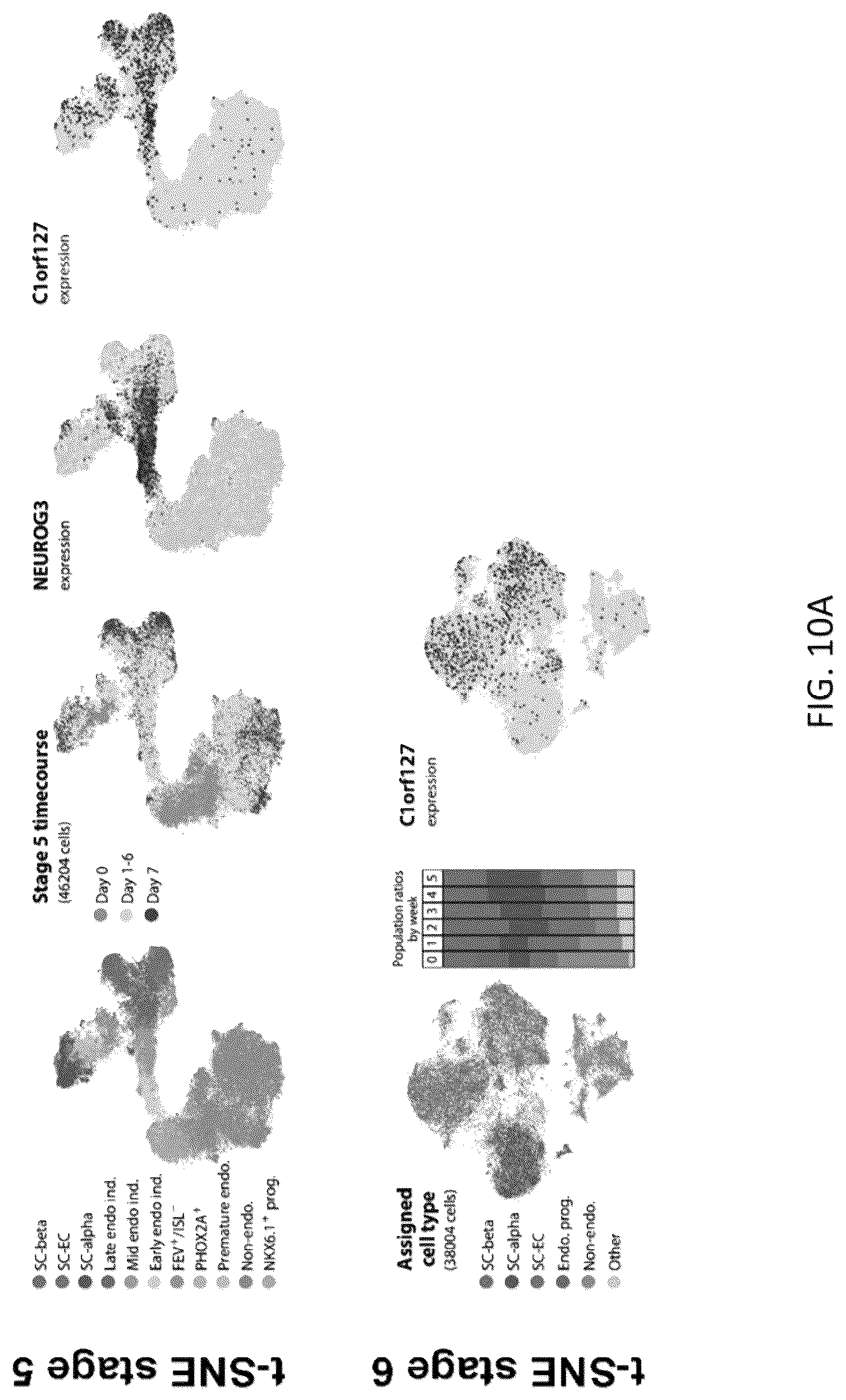 Patent US12097239 Figure 20 – Methods and compositions for treating diabetes, and methods for enriching MRNA coding for secreted proteins