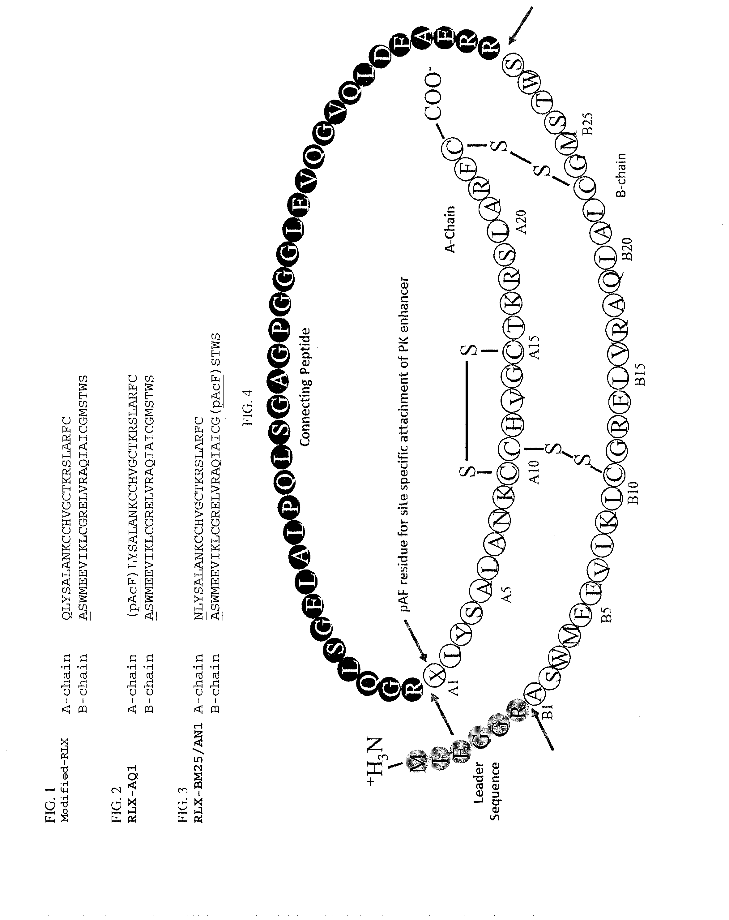 Patent US12097241 — Methods of treating kidney failure, and/or improving or stablizing renal function using modified relaxin polypeptides — Figure 1