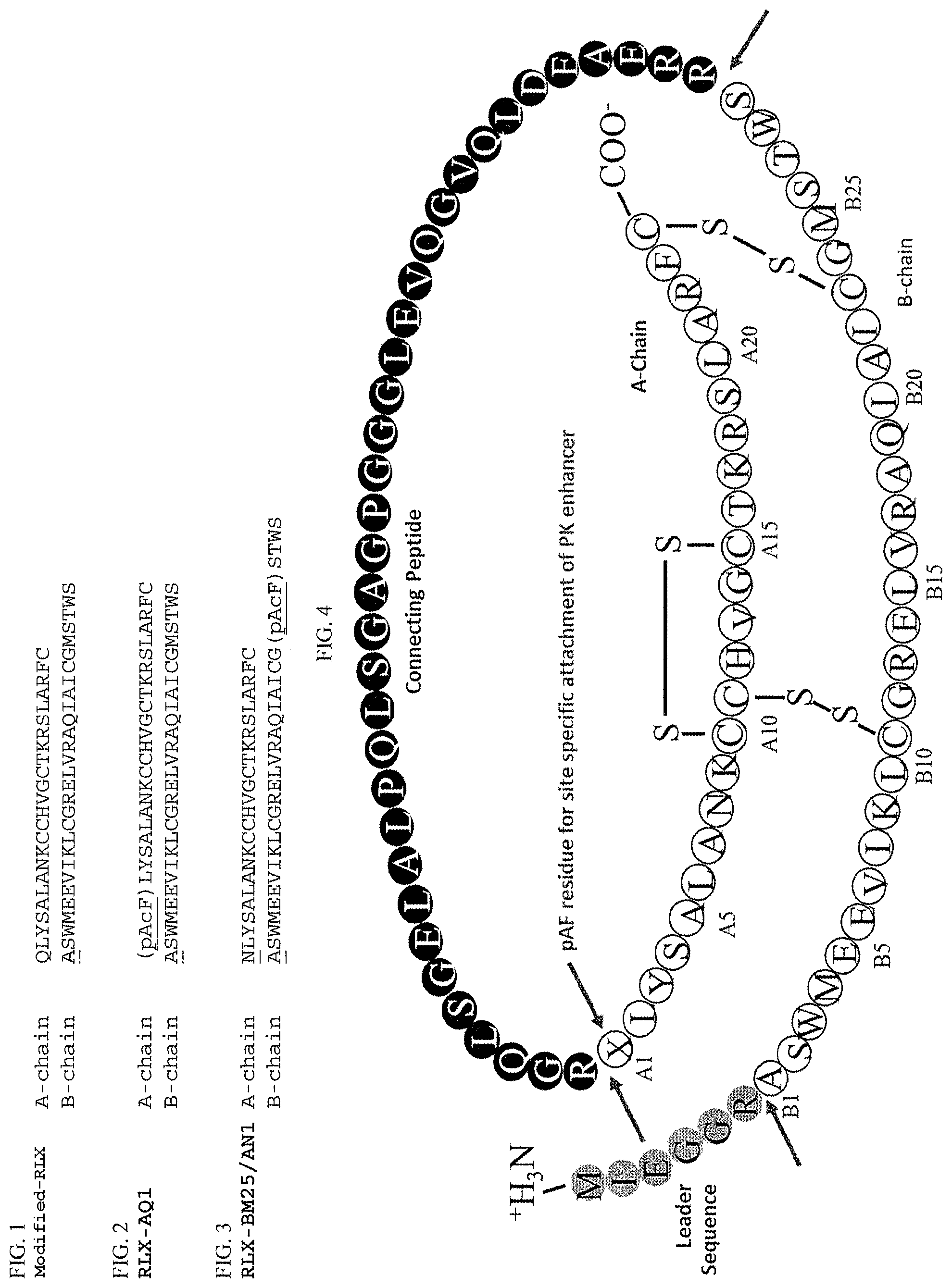Patent US12097242 Figure 1 – Treatment of fibrosis, cardiovascular disease and heart failure with modified relaxin polypeptides