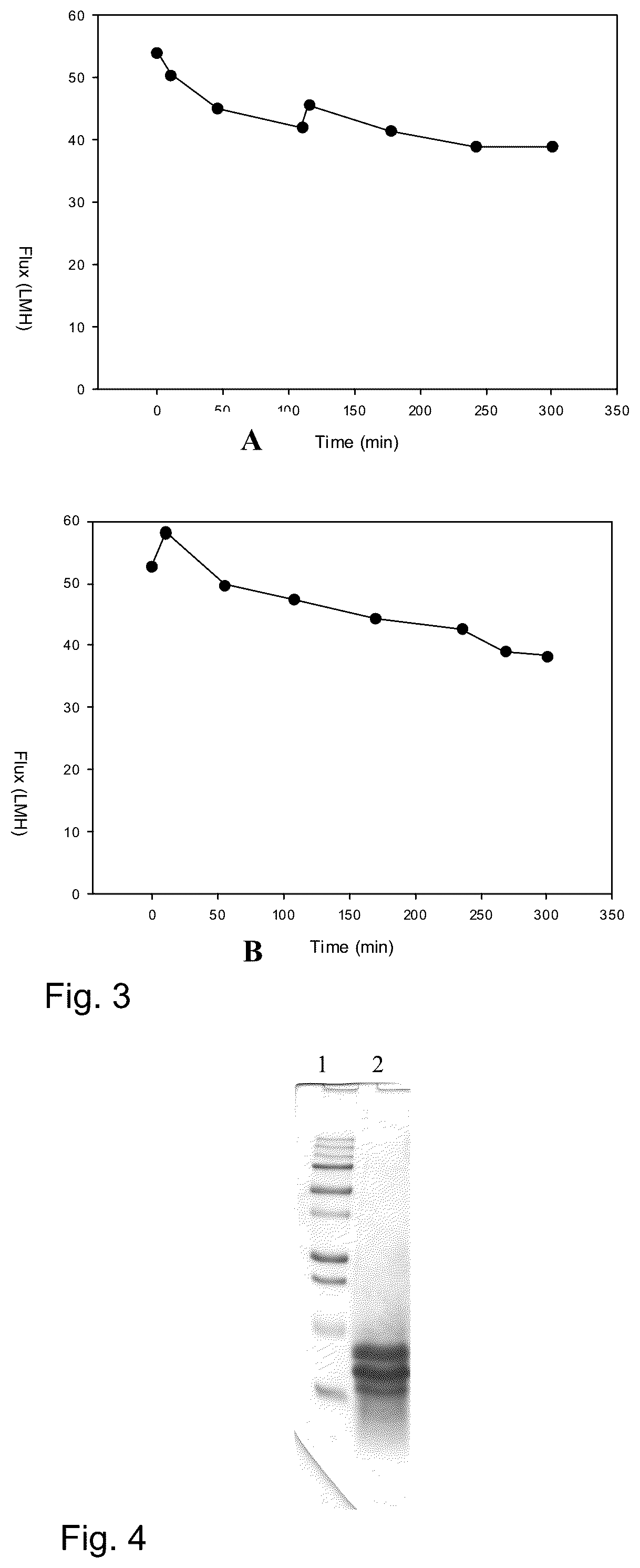 Patent US12097243 Figure 2 – Method for preparing a bone protein preparation and a bone protein preparation