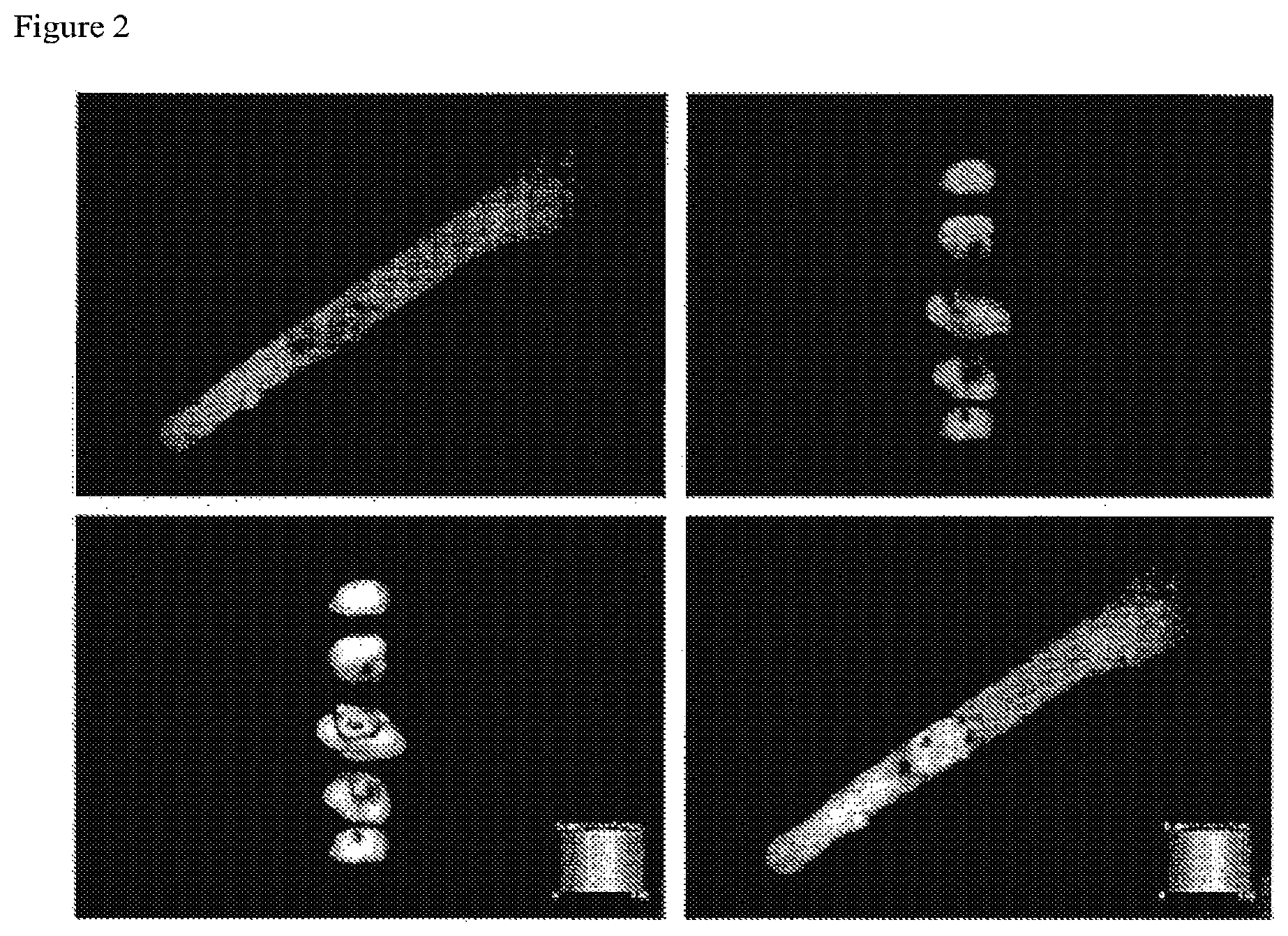 Patent US12097246 Figure 2 – Methods of treating spinal cord injury