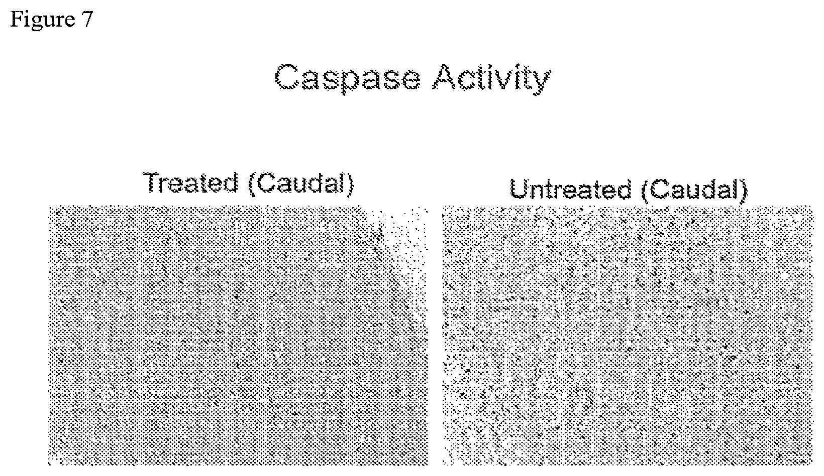 Patent US12097246 Figure 7 – Methods of treating spinal cord injury