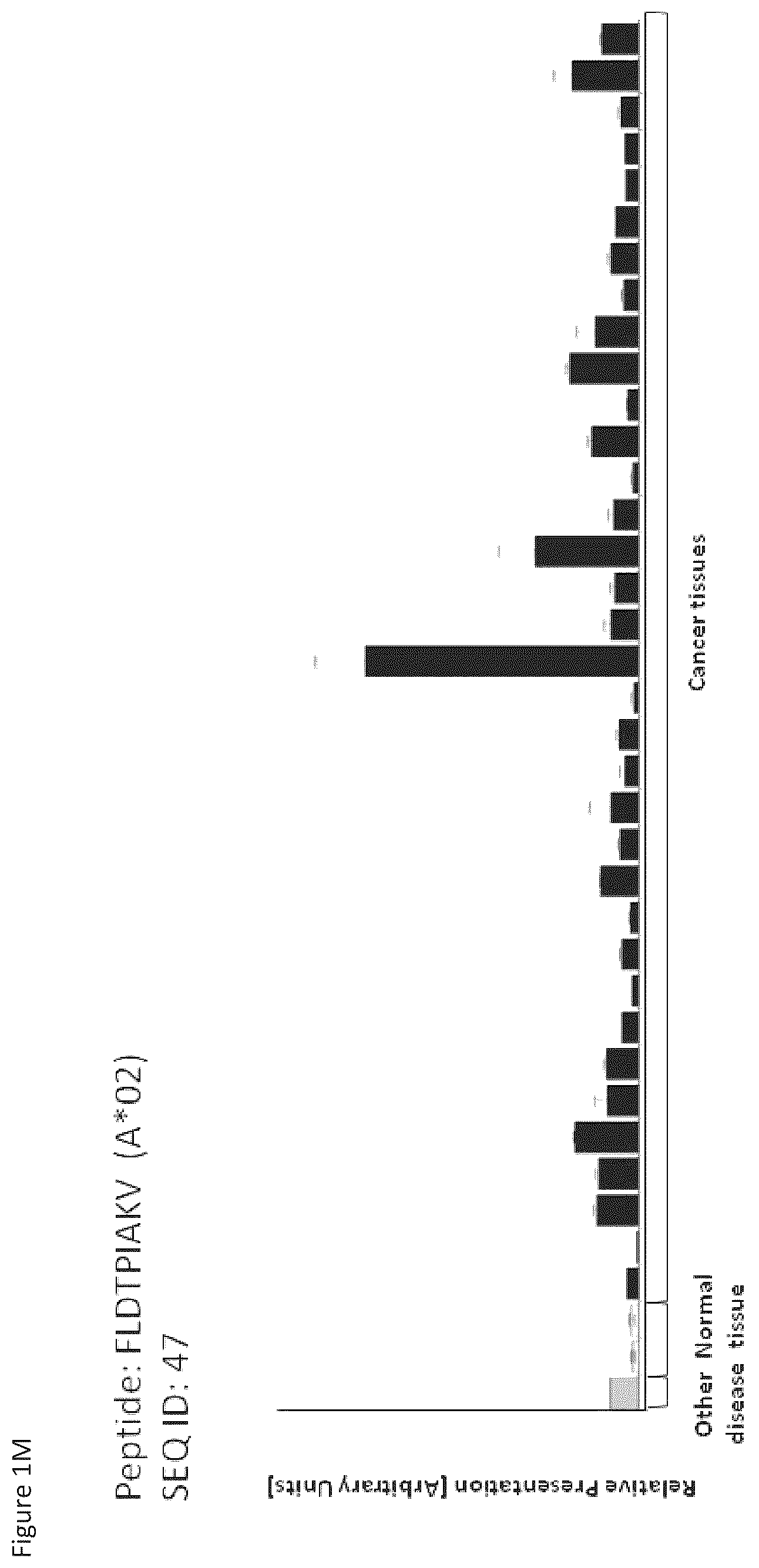 Patent US12097248 Figure 13 – Peptides and combination of peptides for use in immunotherapy against hepatocellular carcinoma (HCC) and other cancers