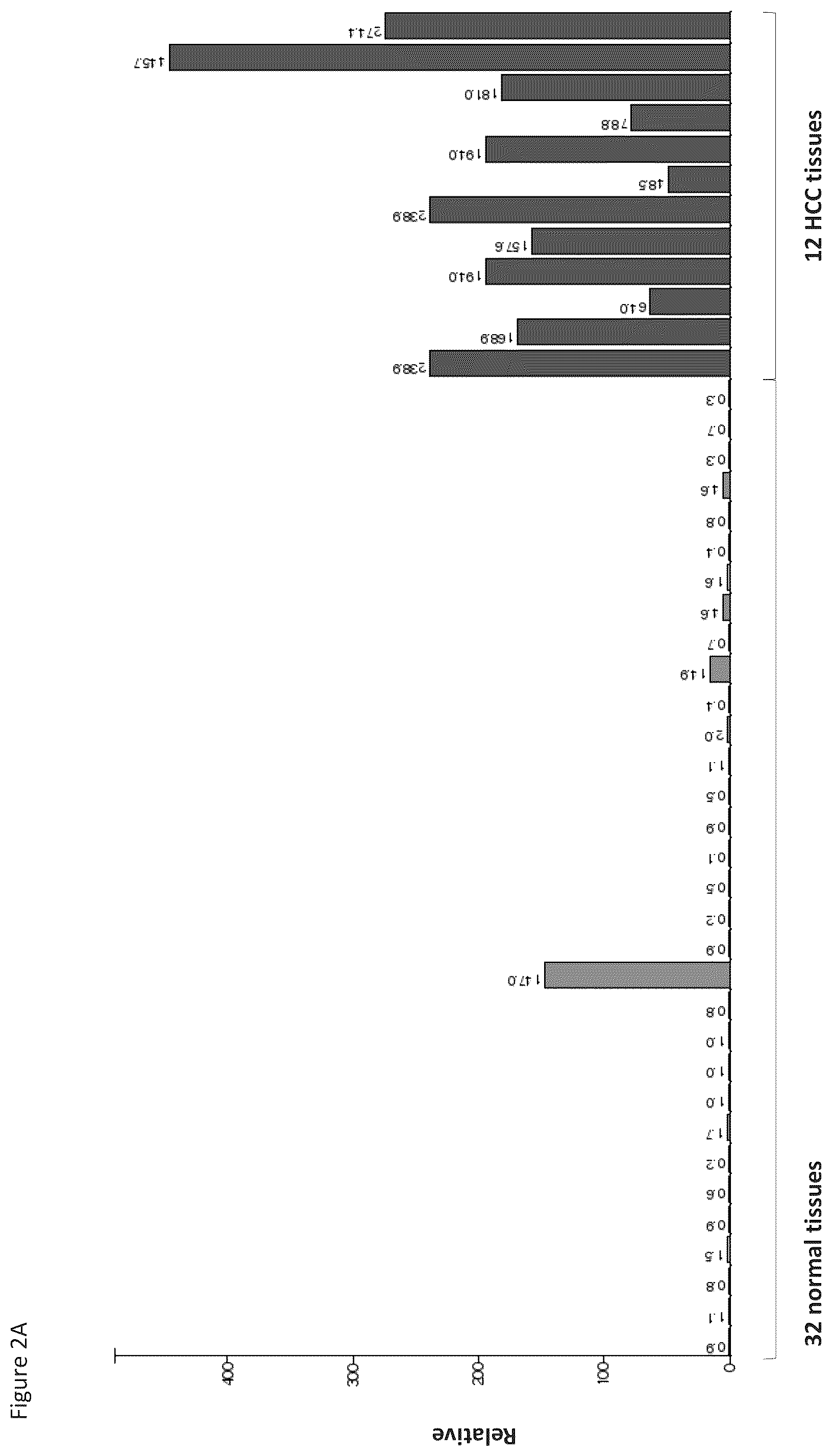 Patent US12097248 Figure 14 – Peptides and combination of peptides for use in immunotherapy against hepatocellular carcinoma (HCC) and other cancers
