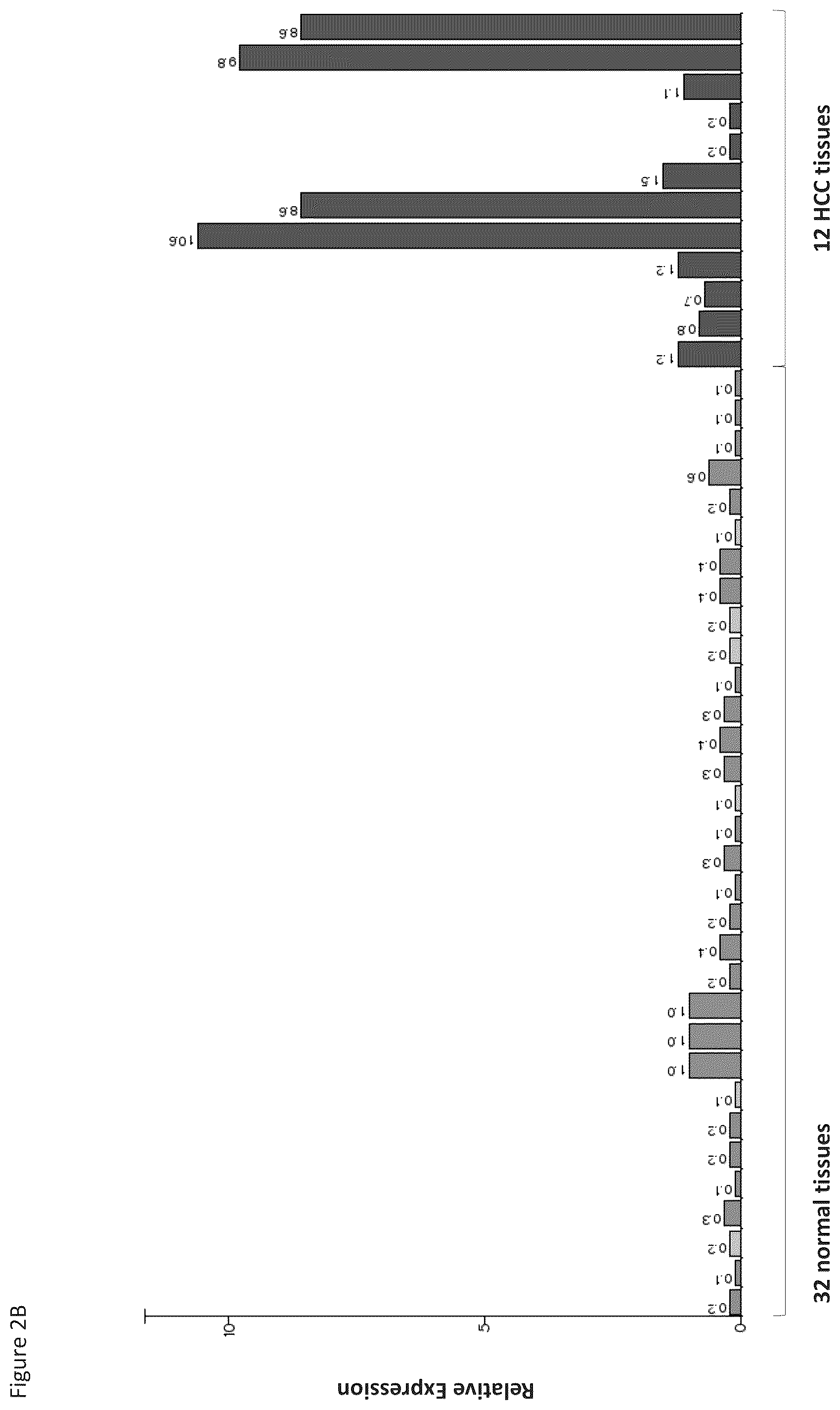 Patent US12097248 Figure 15 – Peptides and combination of peptides for use in immunotherapy against hepatocellular carcinoma (HCC) and other cancers