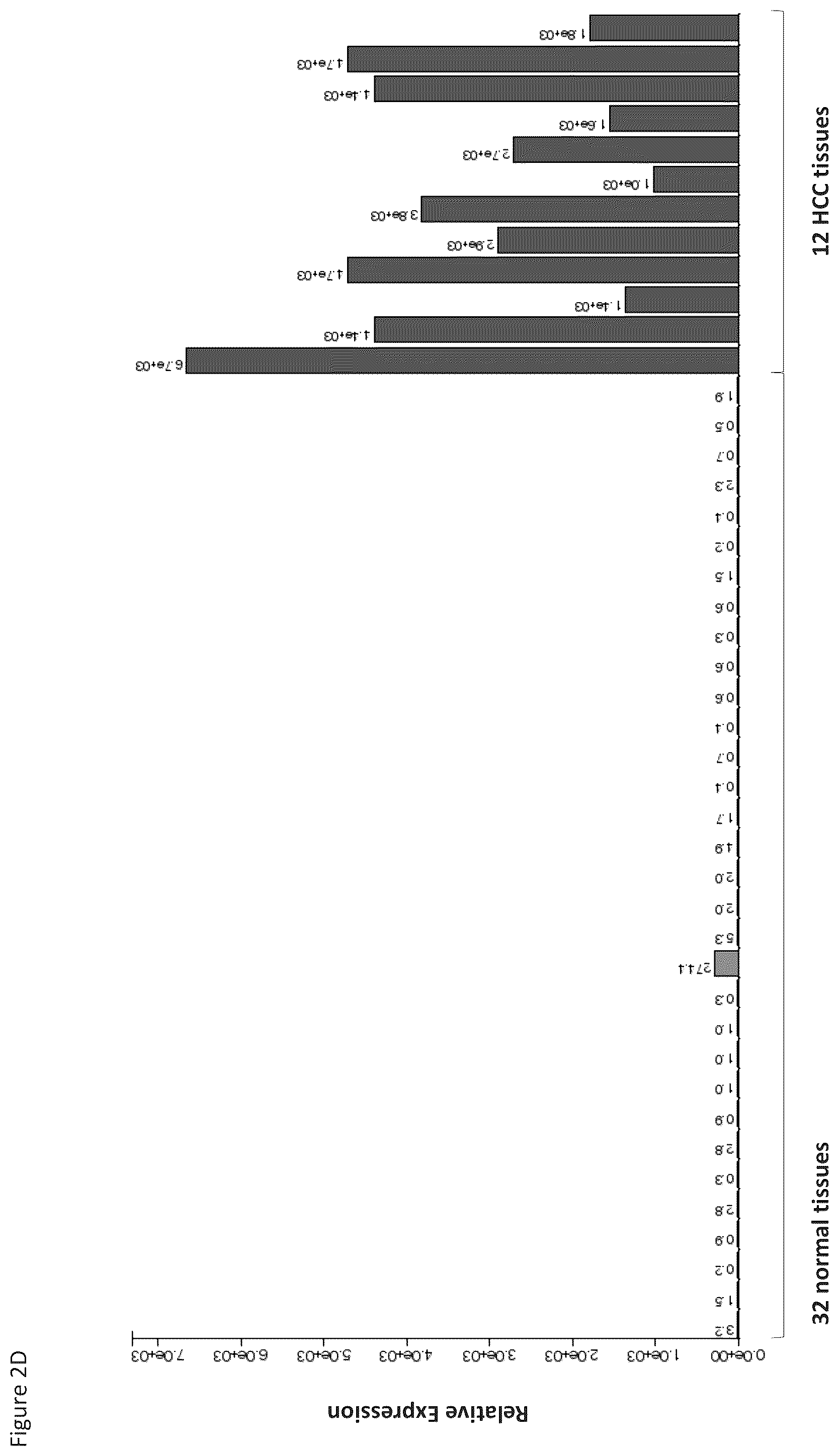Patent US12097248 Figure 17 – Peptides and combination of peptides for use in immunotherapy against hepatocellular carcinoma (HCC) and other cancers