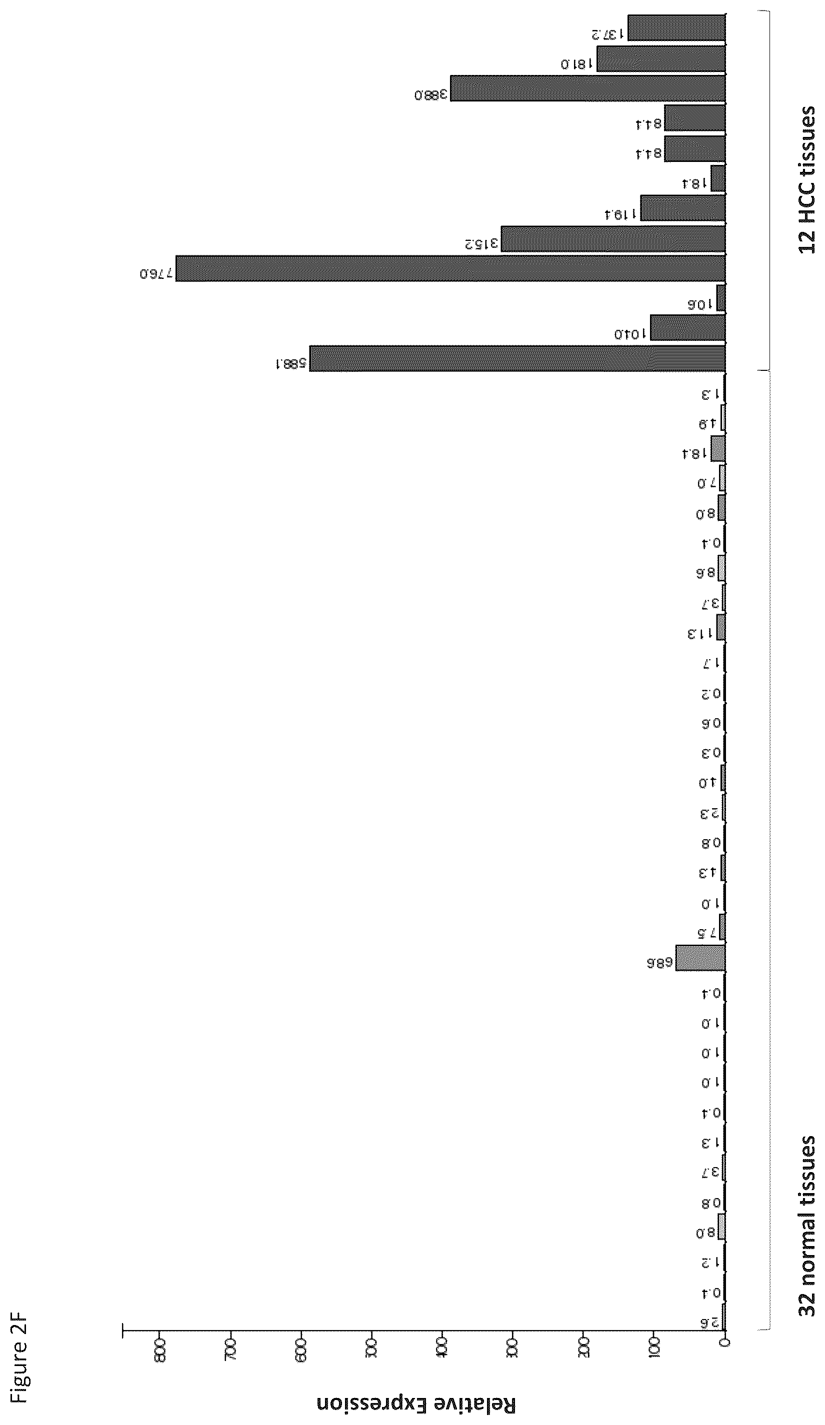 Patent US12097248 Figure 19 – Peptides and combination of peptides for use in immunotherapy against hepatocellular carcinoma (HCC) and other cancers