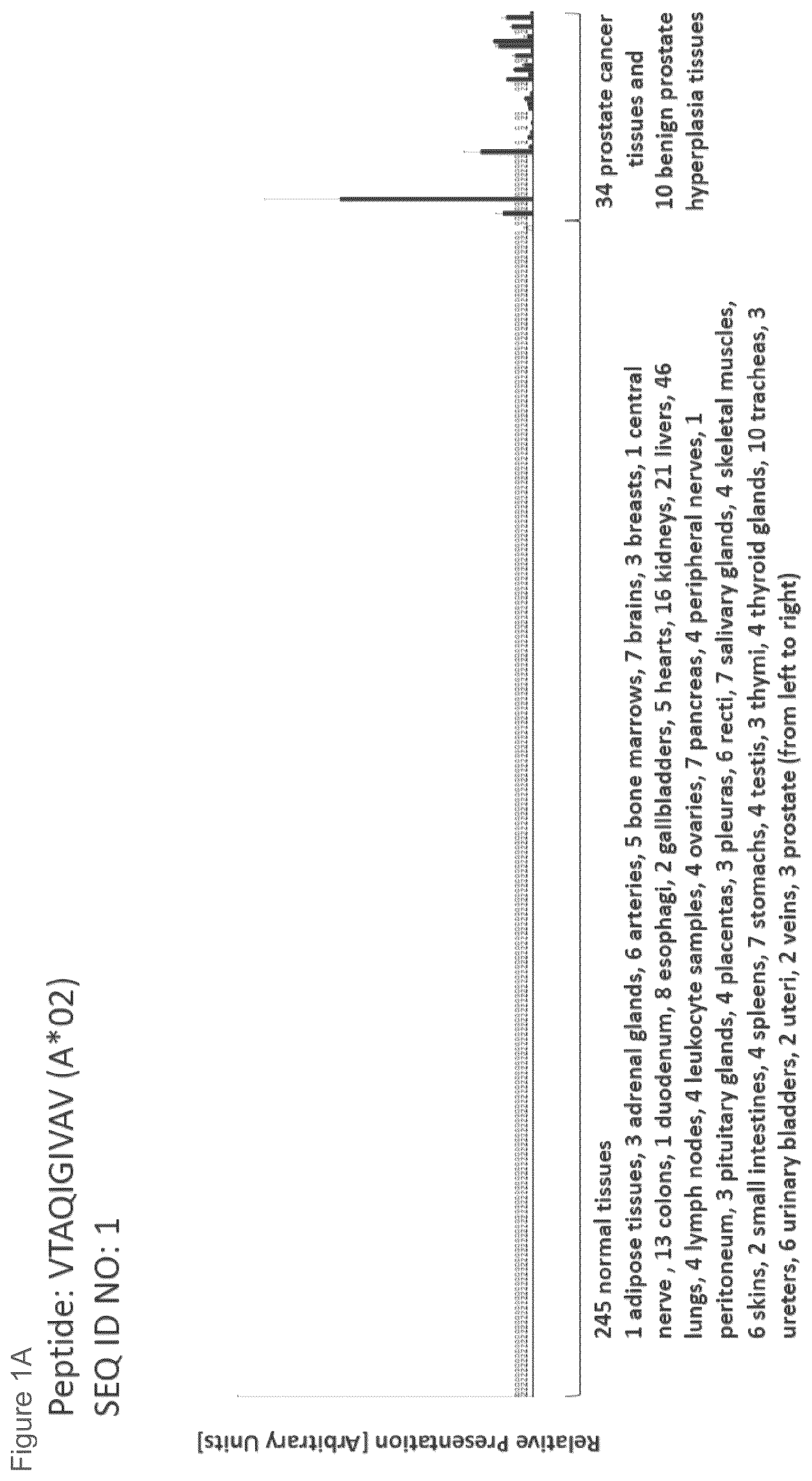Patent US12097249 Figure 1 – Peptides and combination of peptides for use in immunotherapy against prostate cancer and other cancers