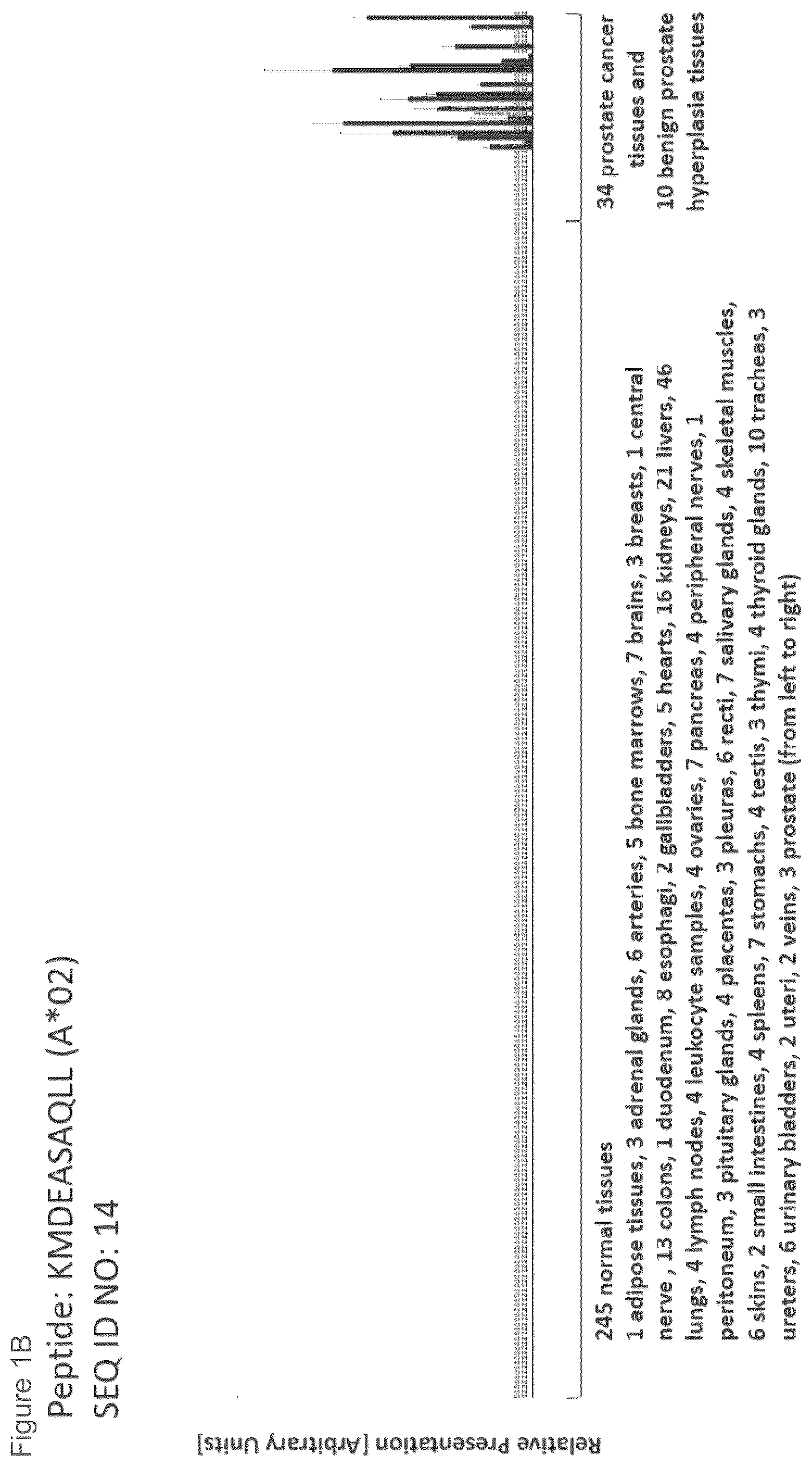 Patent US12097249 Figure 2 – Peptides and combination of peptides for use in immunotherapy against prostate cancer and other cancers