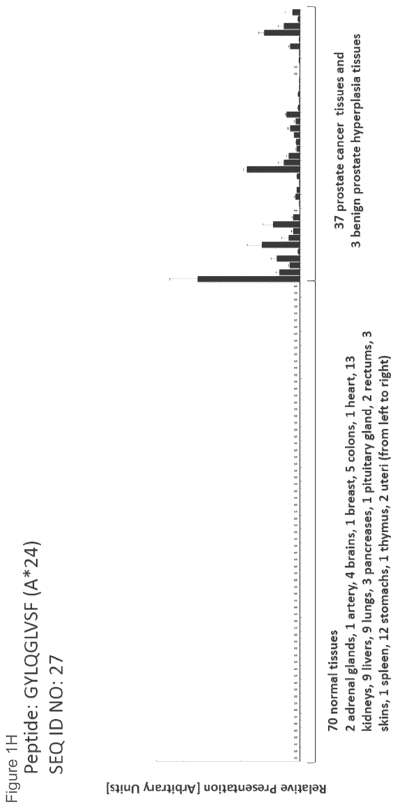 Patent US12097249 Figure 8 – Peptides and combination of peptides for use in immunotherapy against prostate cancer and other cancers
