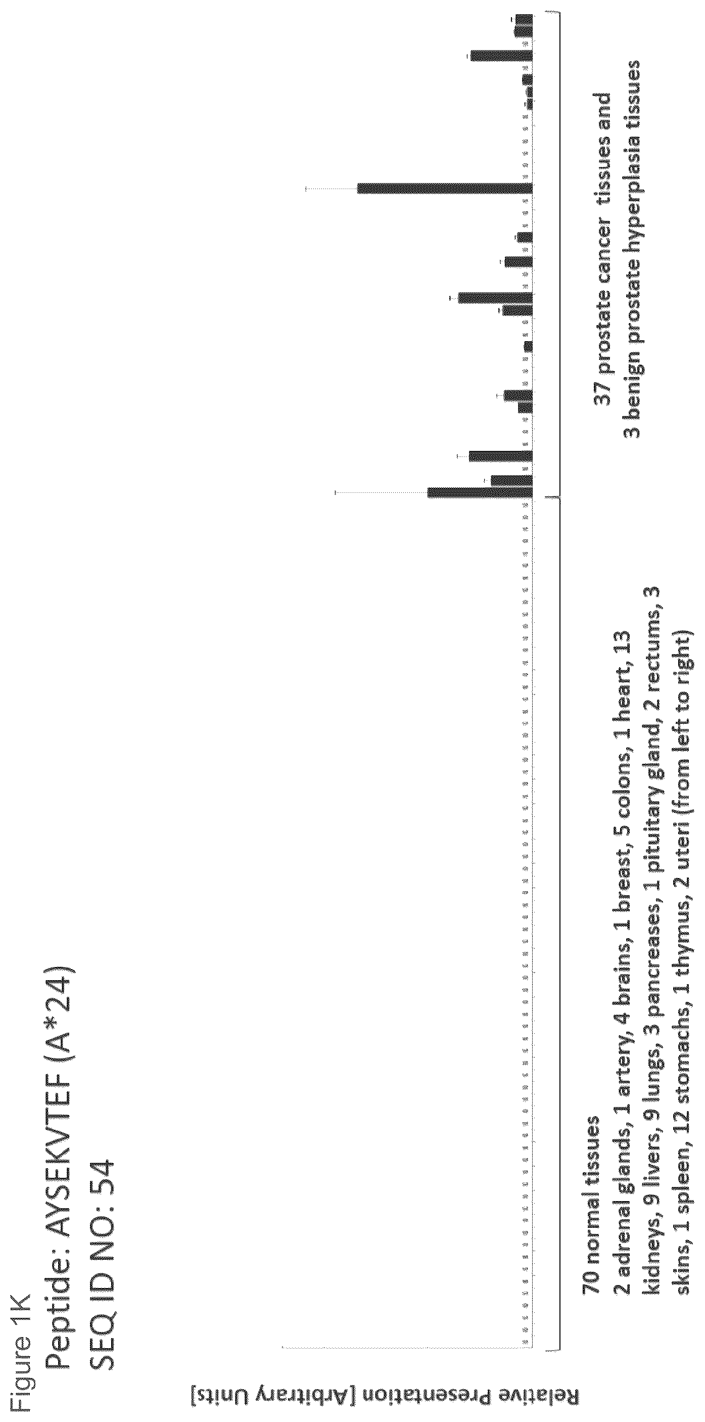 Patent US12097249 Figure 11 – Peptides and combination of peptides for use in immunotherapy against prostate cancer and other cancers