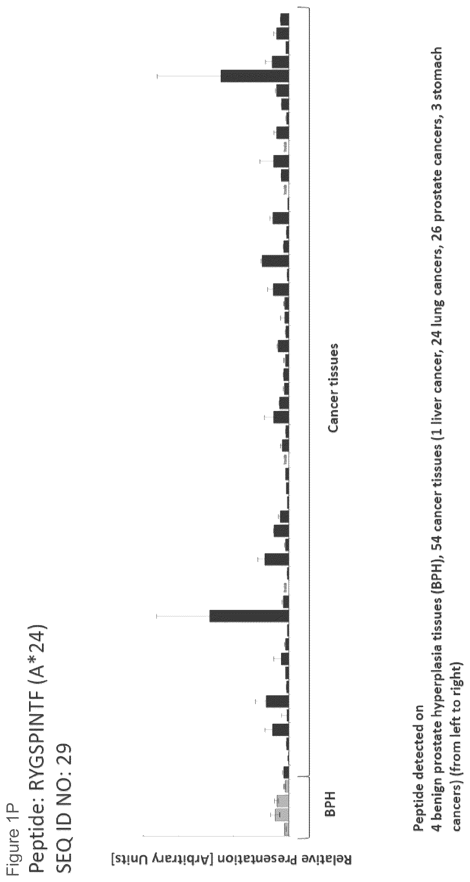 Patent US12097249 Figure 16 – Peptides and combination of peptides for use in immunotherapy against prostate cancer and other cancers