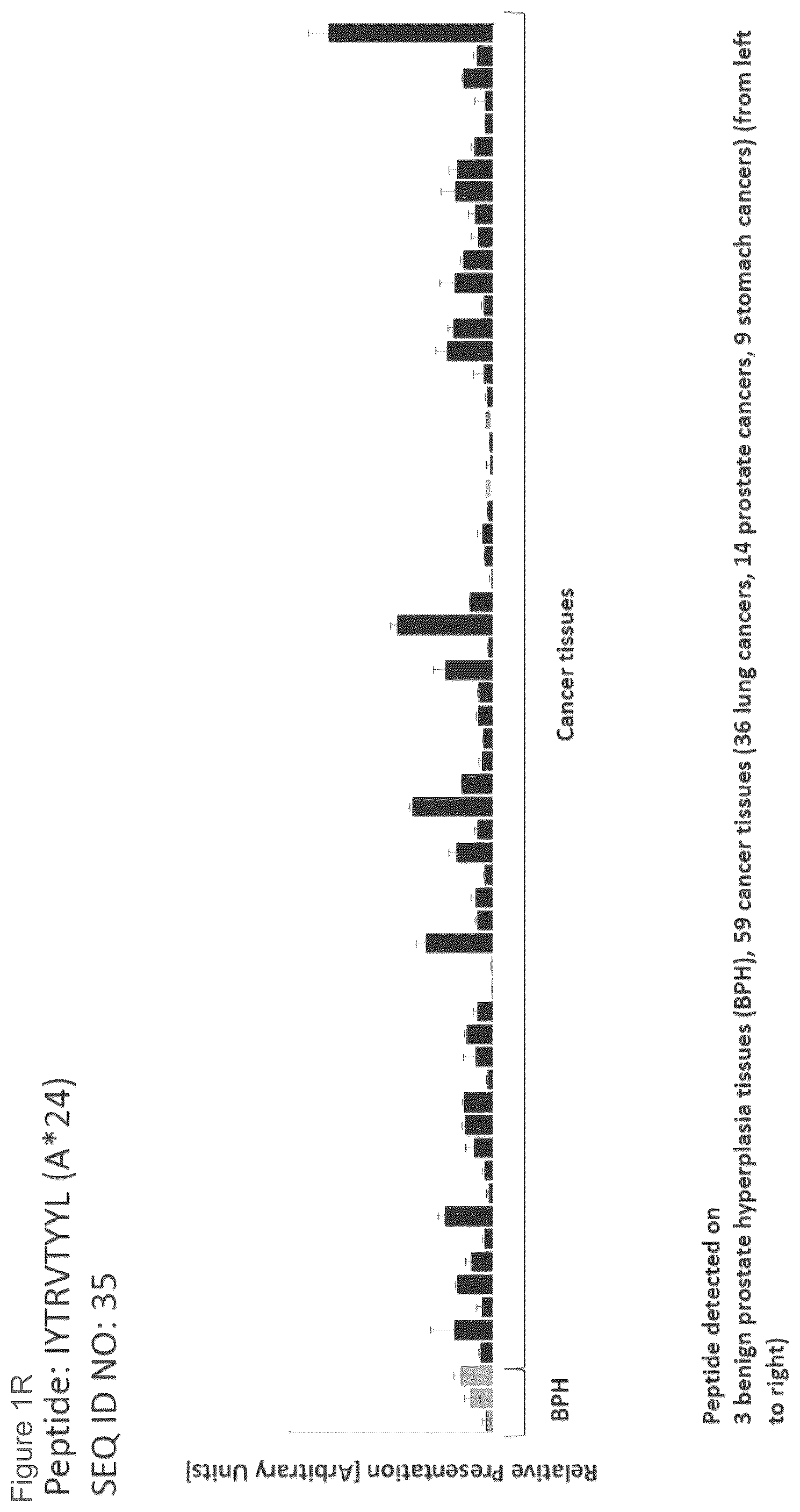 Patent US12097249 Figure 18 – Peptides and combination of peptides for use in immunotherapy against prostate cancer and other cancers
