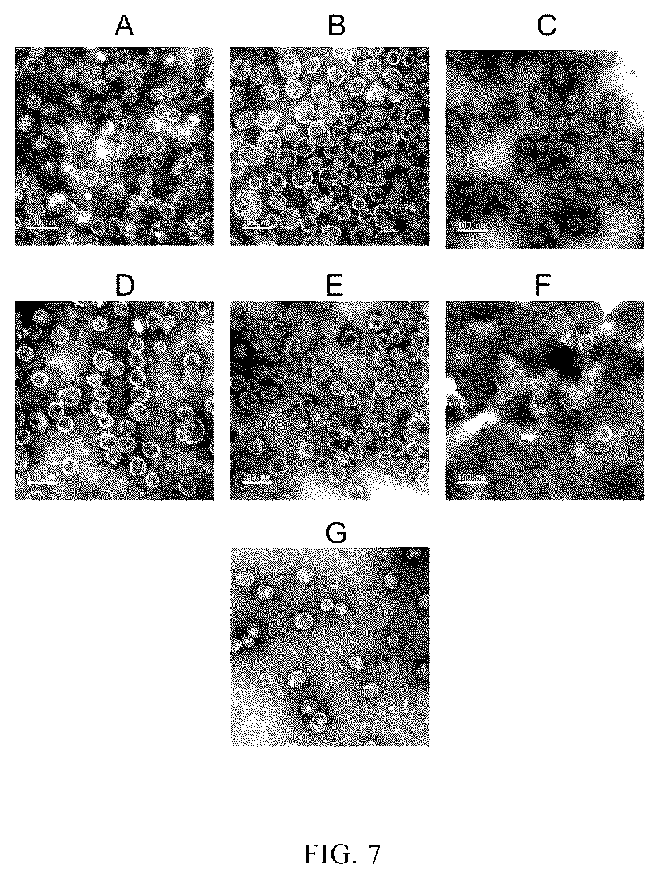 Patent US12097251 Figure 8 – Human papilloma virus type 51 L1 protein mutants