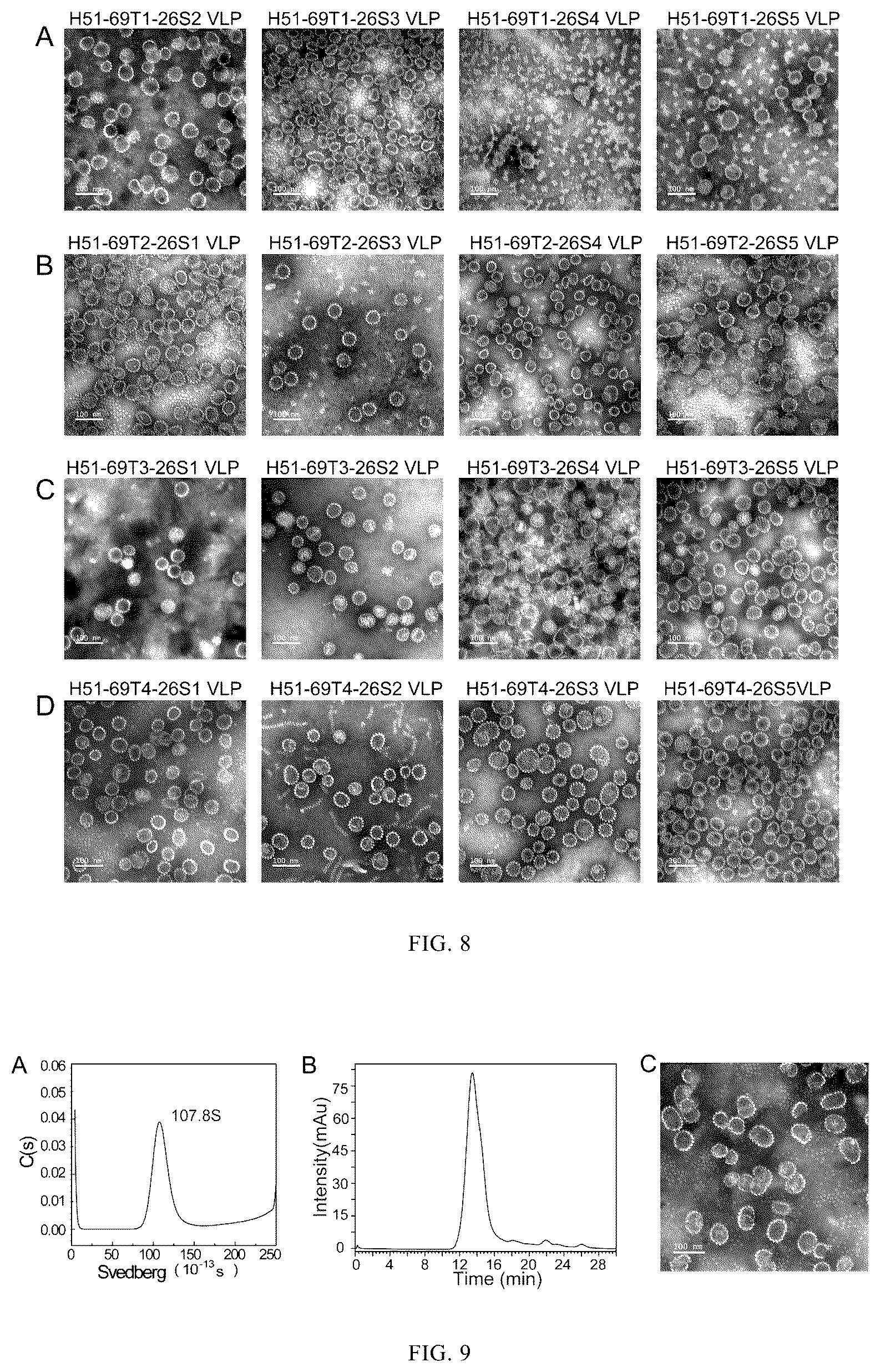 Patent US12097251 Figure 9 – Human papilloma virus type 51 L1 protein mutants