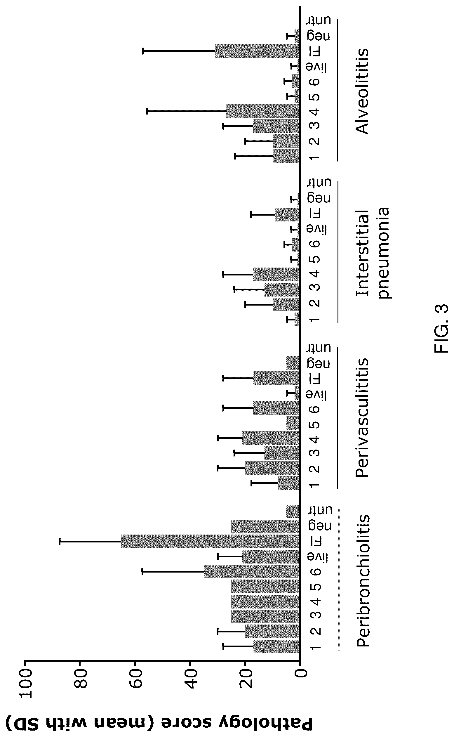 Patent US12097253 Figure 3 – RSV RNA molecules and compositions for vaccination