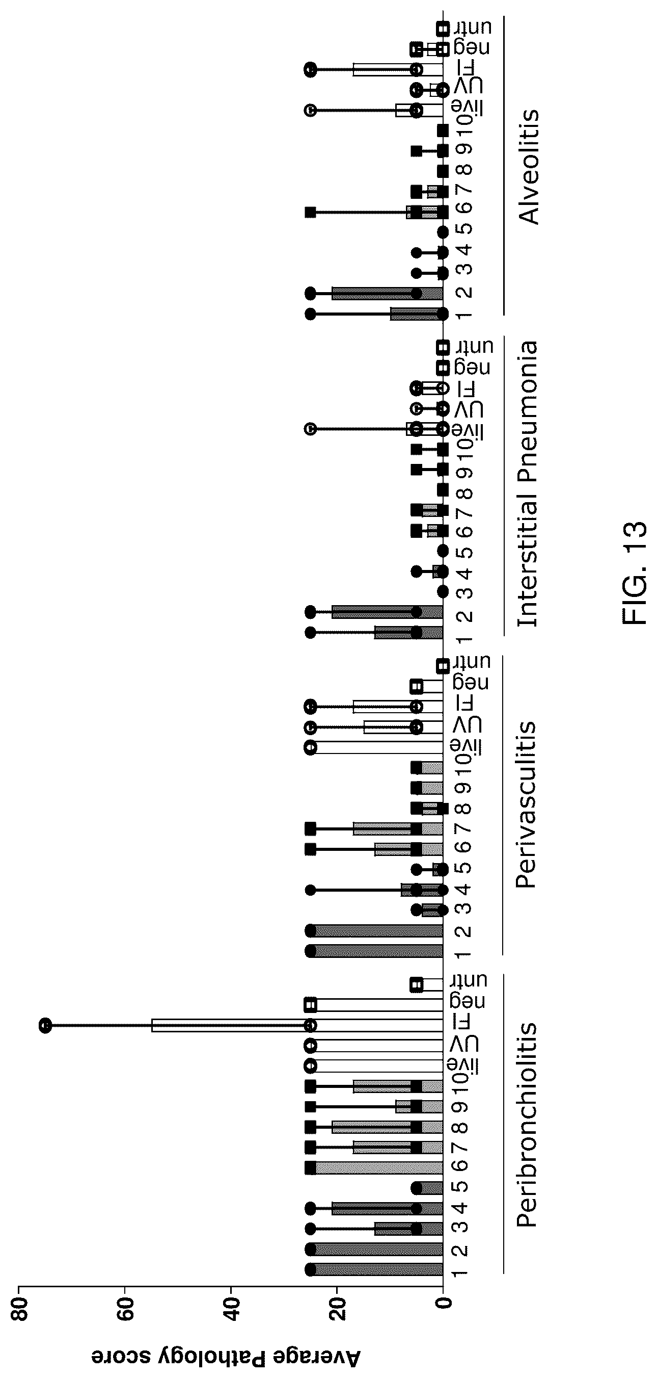 Patent US12097253 Figure 16 – RSV RNA molecules and compositions for vaccination