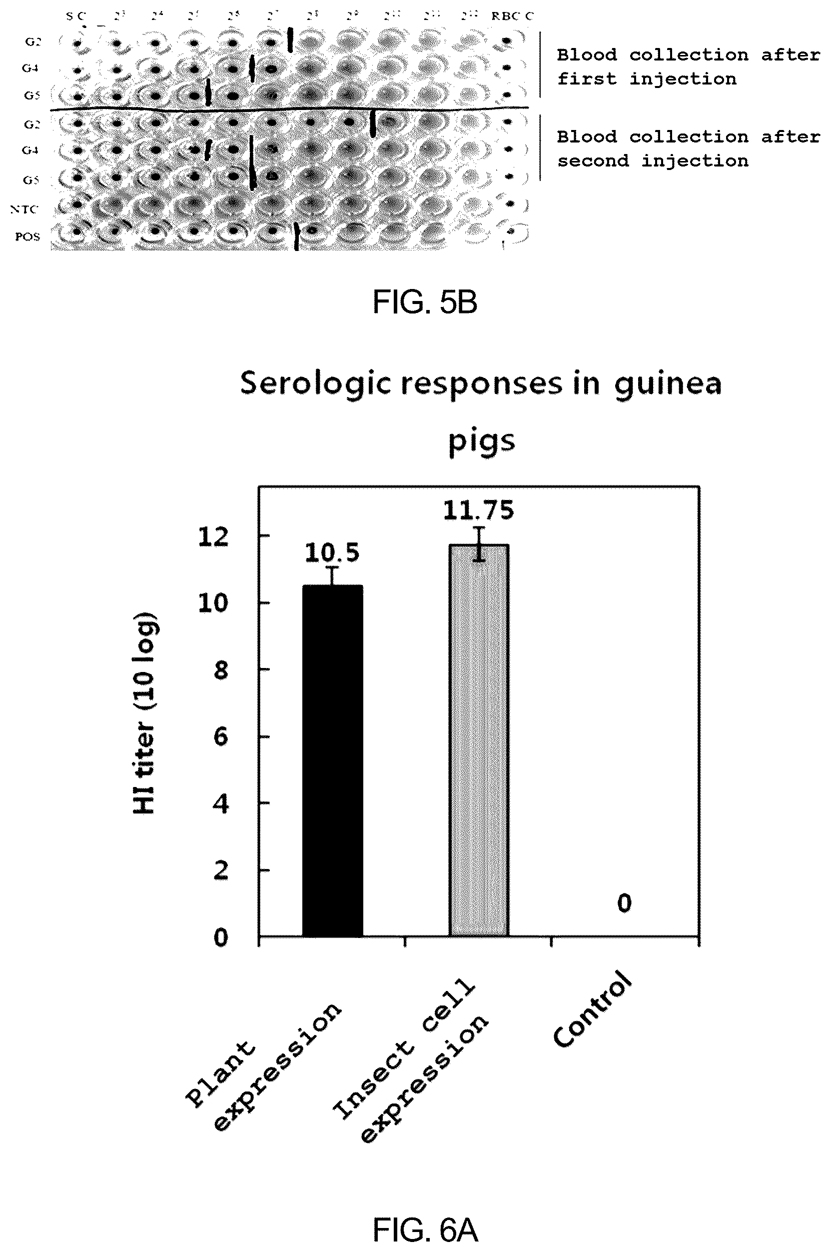 Patent US12097255 Figure 7 – Recombinant porcine parvovirus antigenic protein and use thereof
