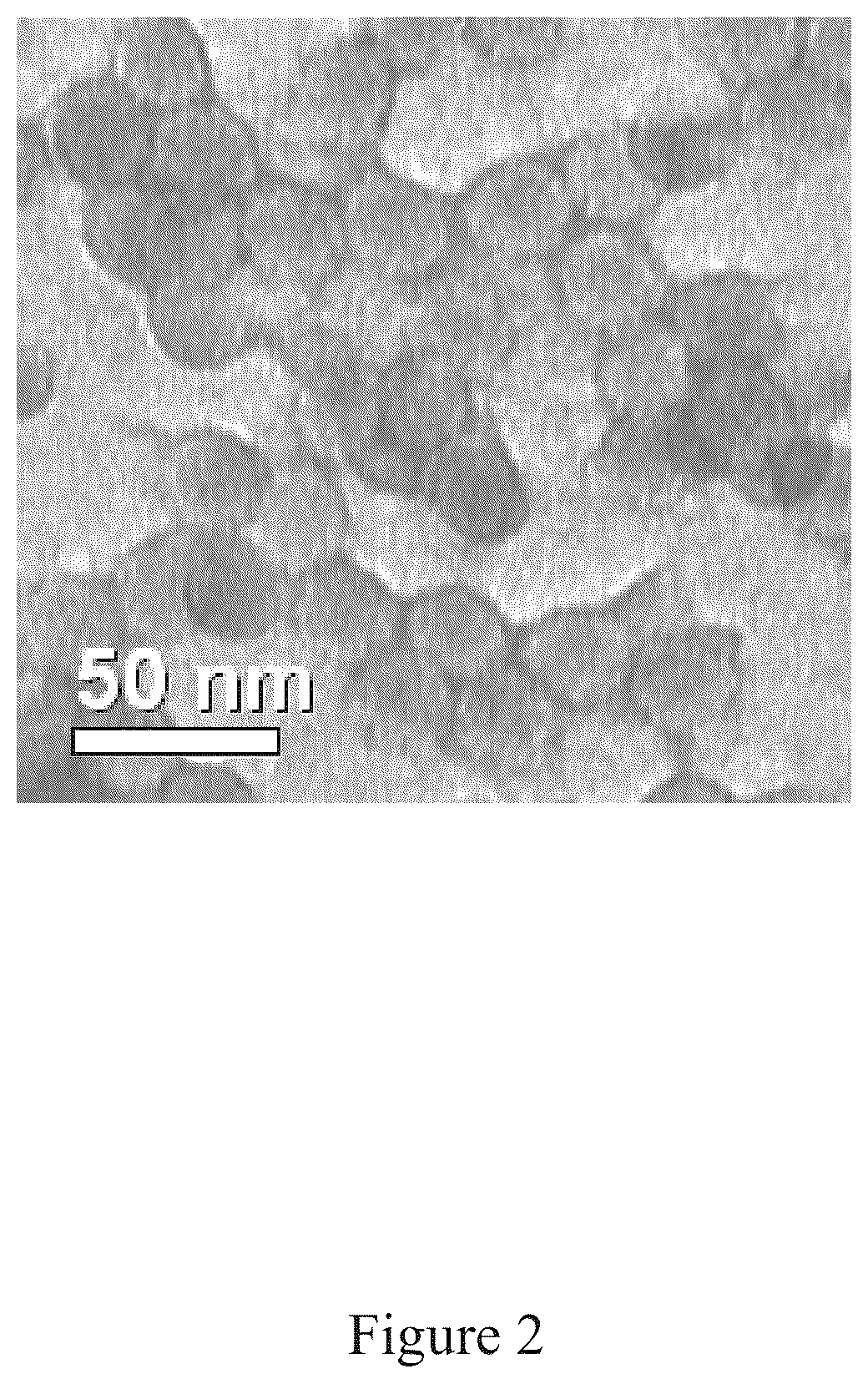 Patent US12097256 Figure 2 – Virus and antigen purification and conjugation