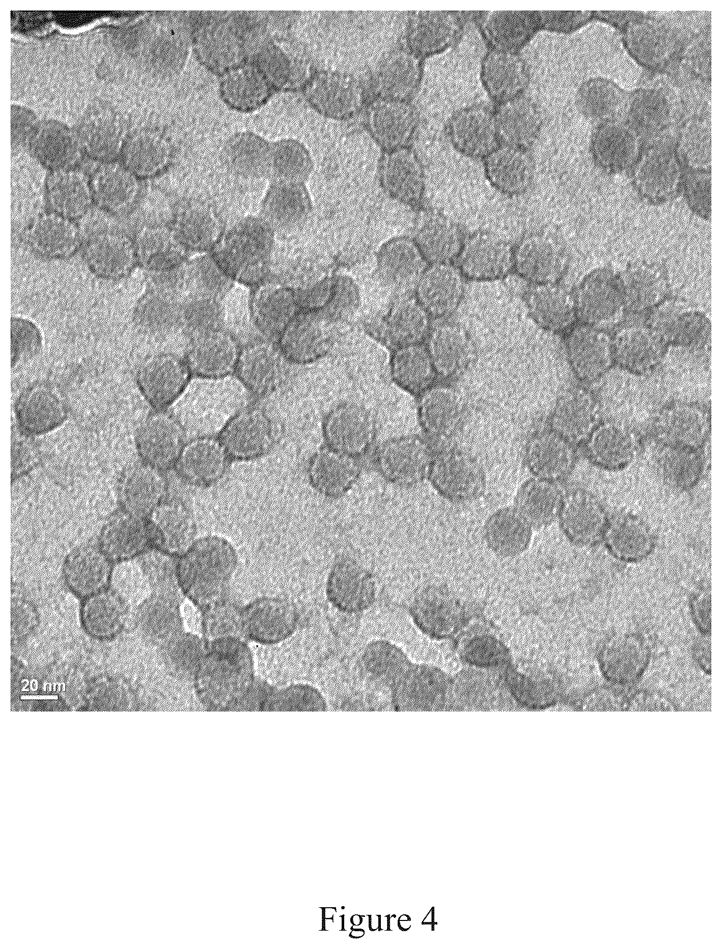 Patent US12097256 Figure 4 – Virus and antigen purification and conjugation