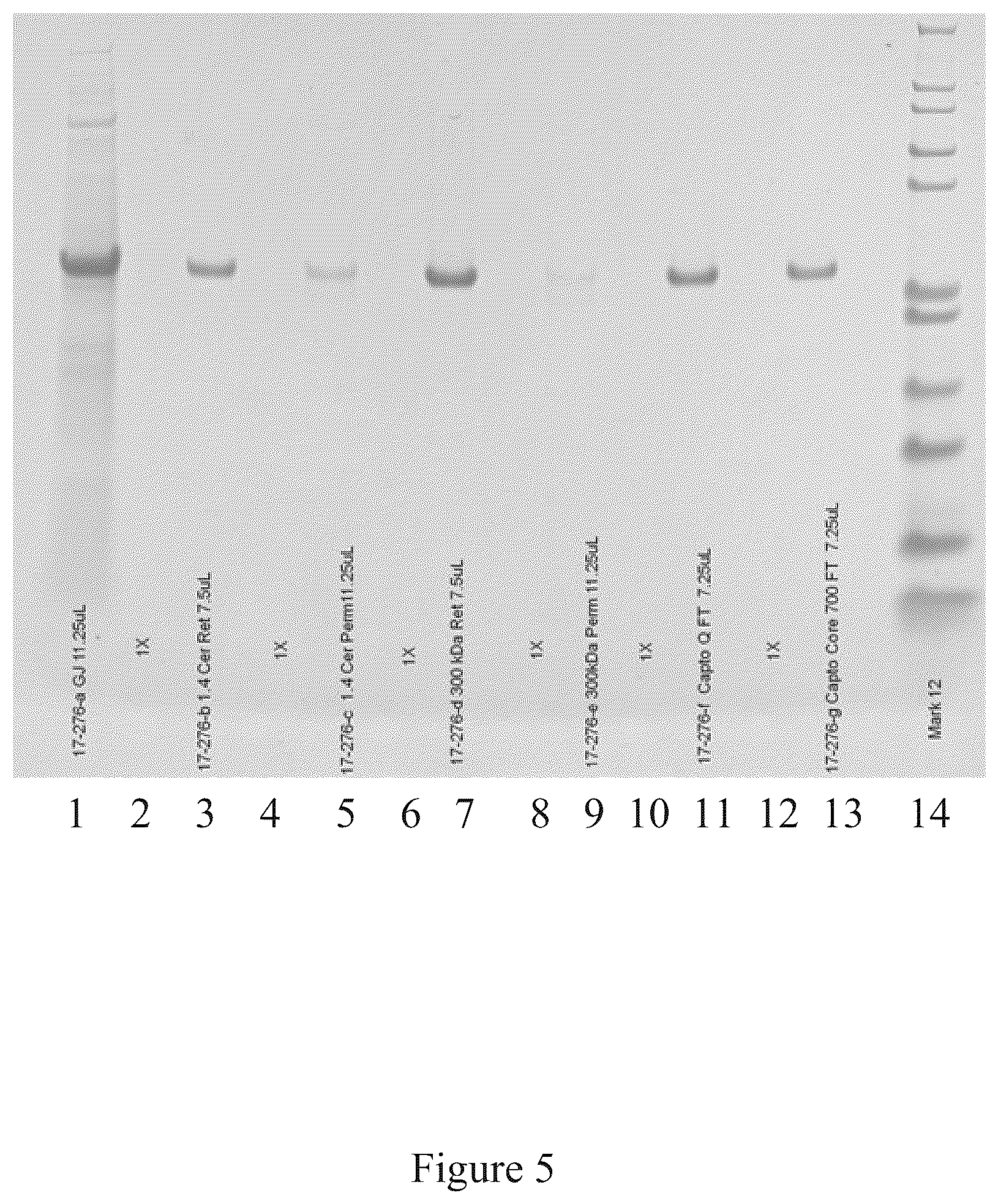 Patent US12097256 Figure 5 – Virus and antigen purification and conjugation