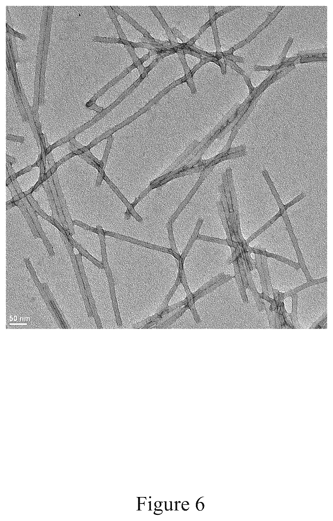 Patent US12097256 Figure 6 – Virus and antigen purification and conjugation